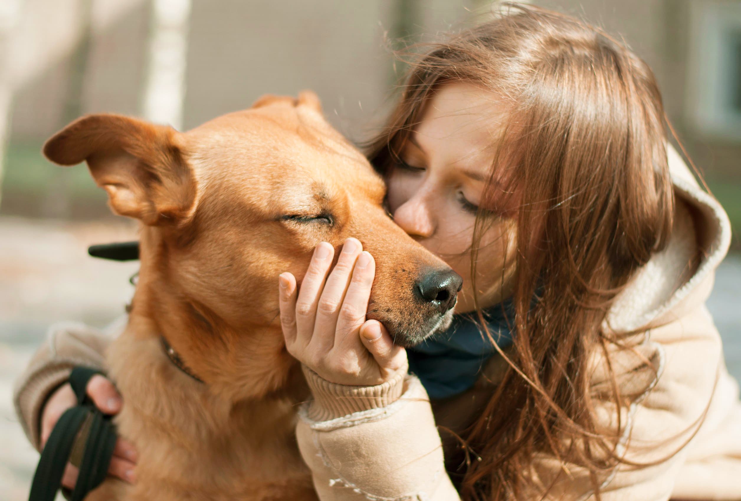 Imagem de um cachorro caramelo assustado com estalinho de festa junina, sendo abraçado e beijado por sua dona, que segura seu focinho com uma das mãos.