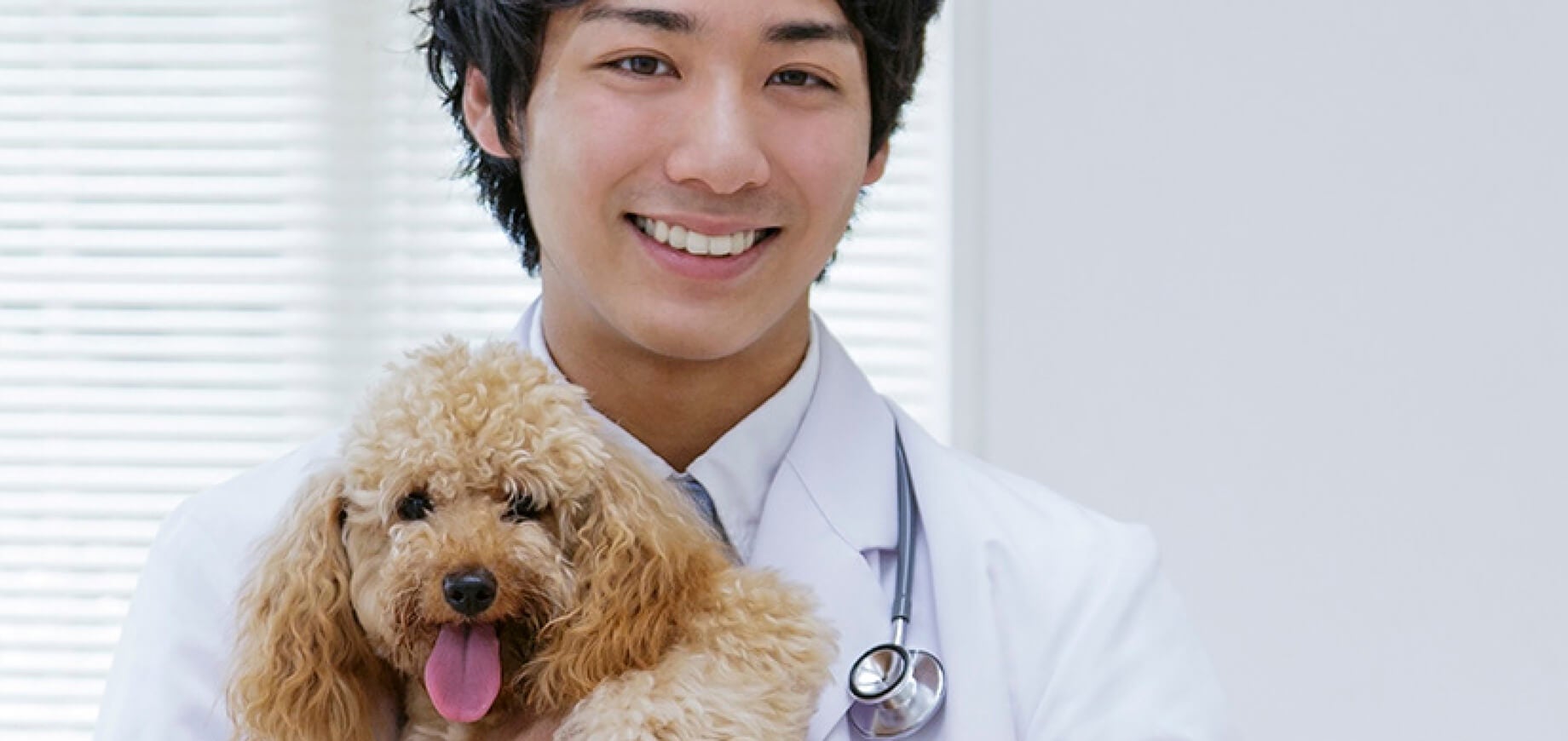 Veterinário: como escolher alguém para cuidar do seu pet?