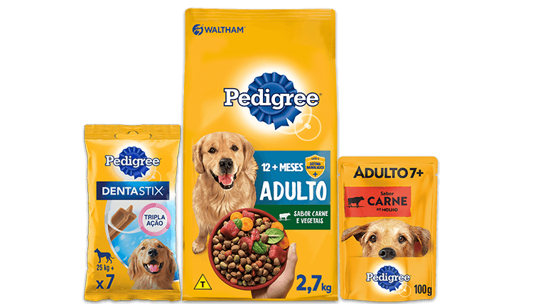 PEDIGREE® Linha de produtos para seu cachorro idoso
