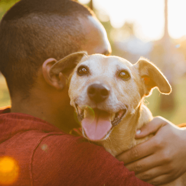 Qual cachorro ou filhote é ideal para você