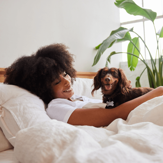 Como fortalecer o relacionamento com seu cão