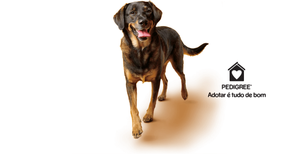 Cachorro de porte grande, preto e caramelo, ao lado de logotipo de Pedigree Adotar É Tudo de Bom