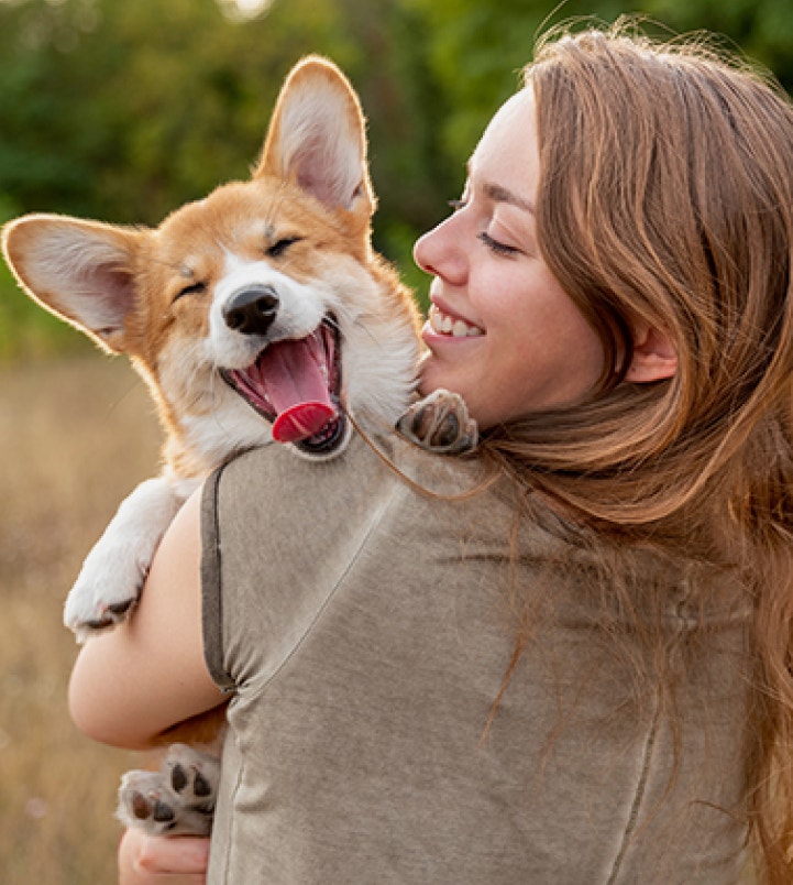 Cachorro corgi caramelo, sorrindo, no colo de uma moça