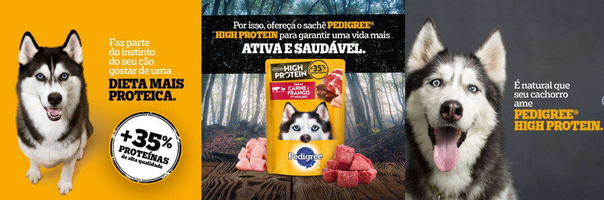 High Protein: Nova ração para cachorro I PEDIGREE®