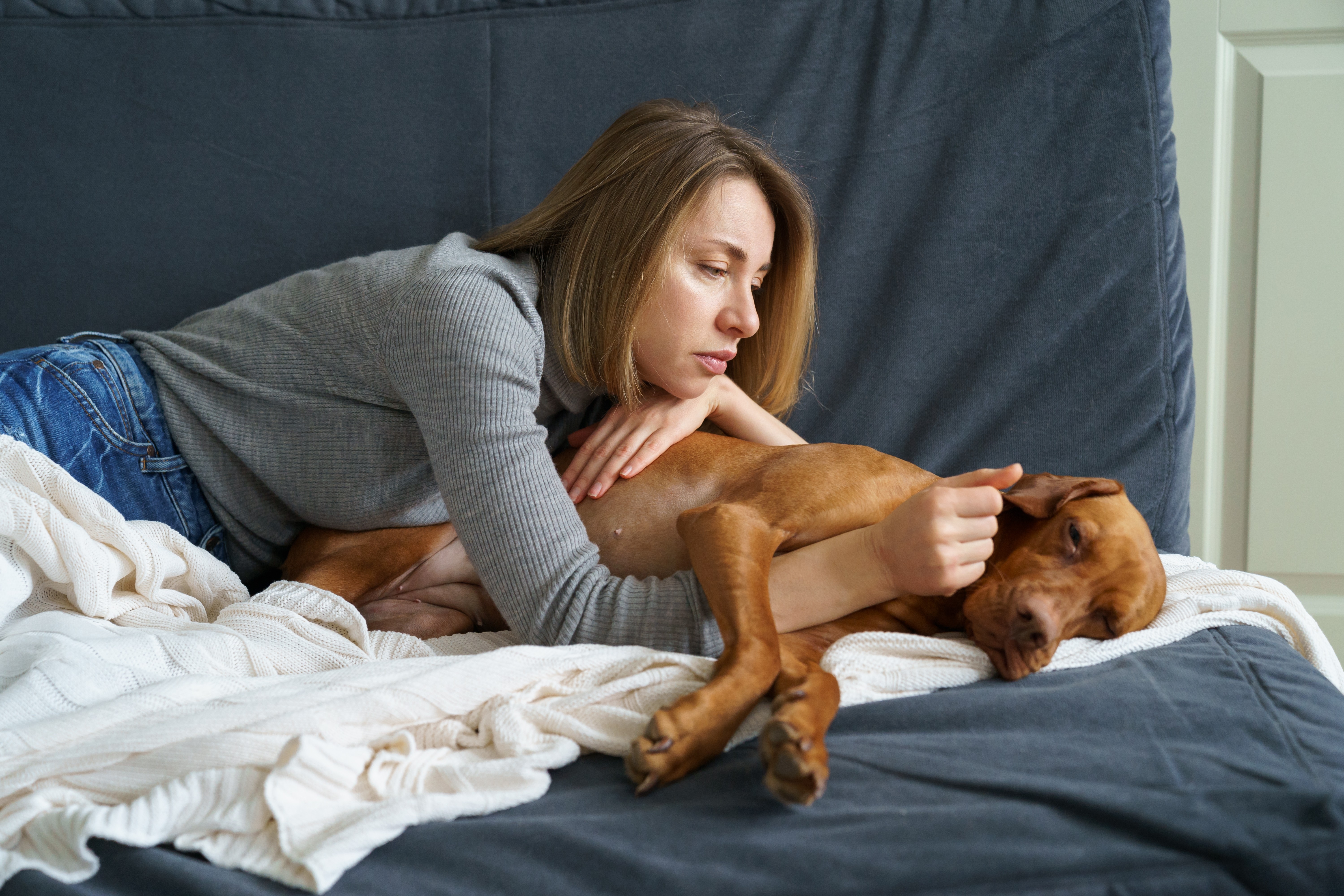 Imagem de um cachorro caramelo deitado, com sua tutora debruçada sobre ele, o braço entre suas patas dianteiras e a mão em seu rosto. Ao lado, uma manta branca de lã.