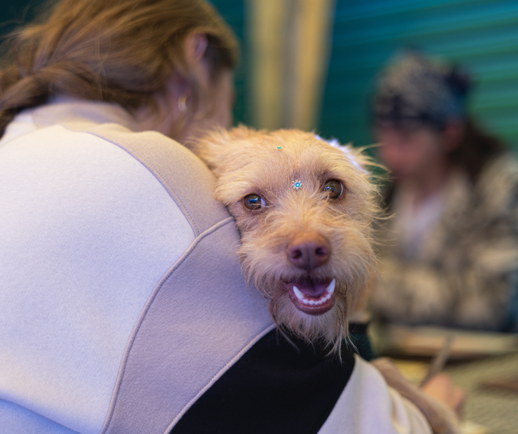 Moça segurando um cachorro caramelo que olha para a foto