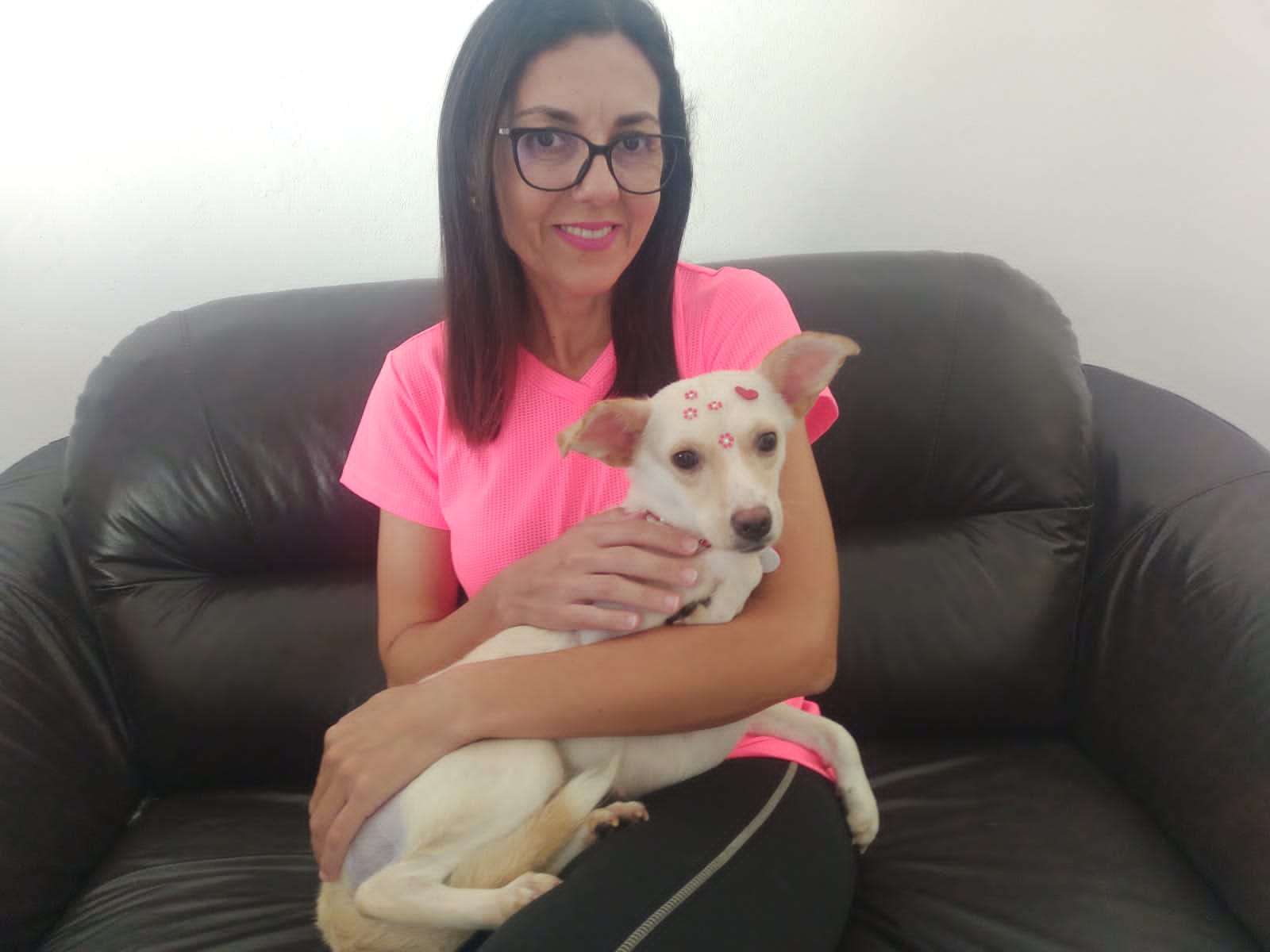 Mulher com camiseta rosa, segurando no colo uma cachorra porte médio, branca, pelagem curta com adesivos decorativos rosa na cabeça.