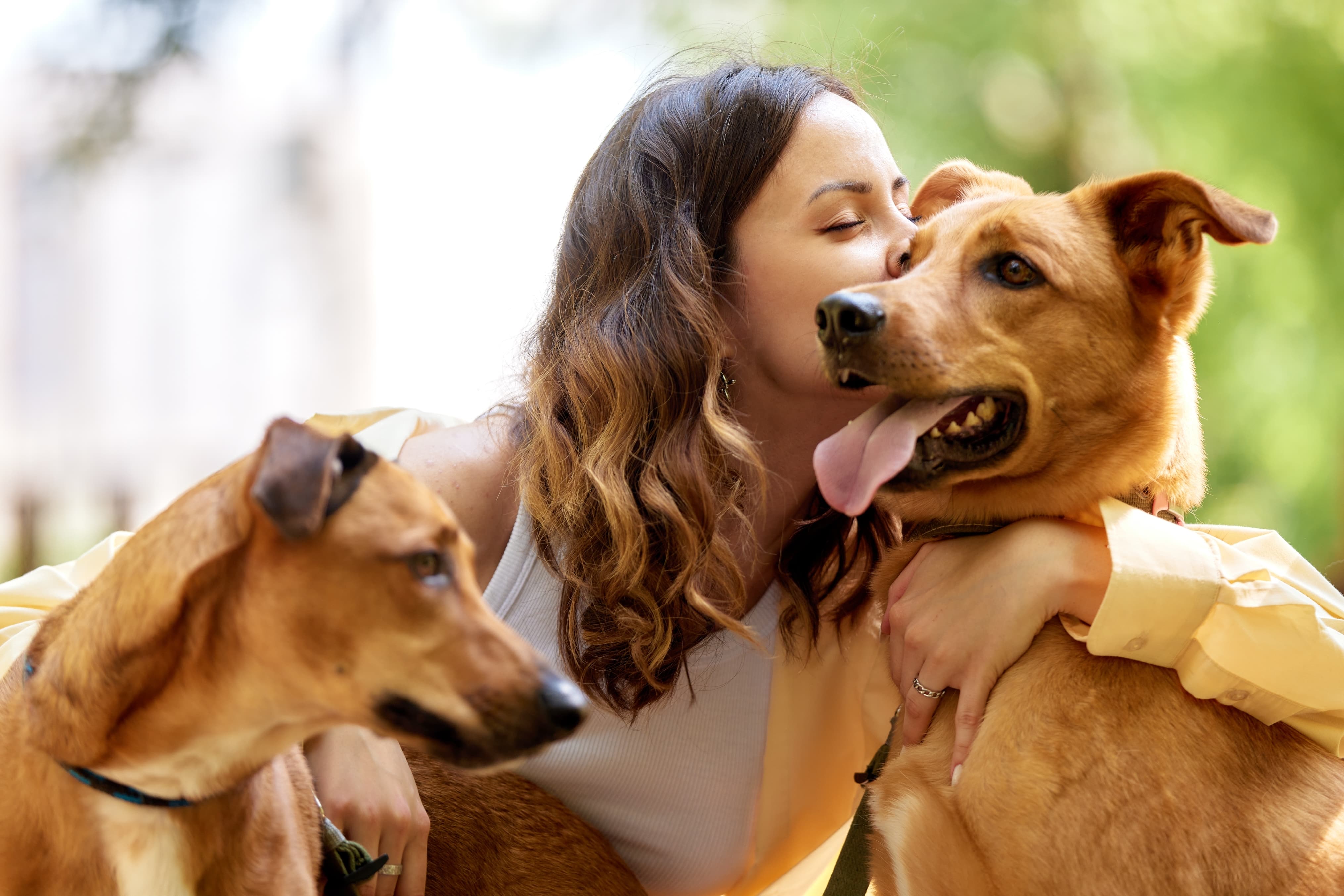 Imagem de dois cachorros caramelo, um de cada lado da sua tutora. Um olha para o lado, enquanto o outro, com a língua de fora, é abraçado por ela.