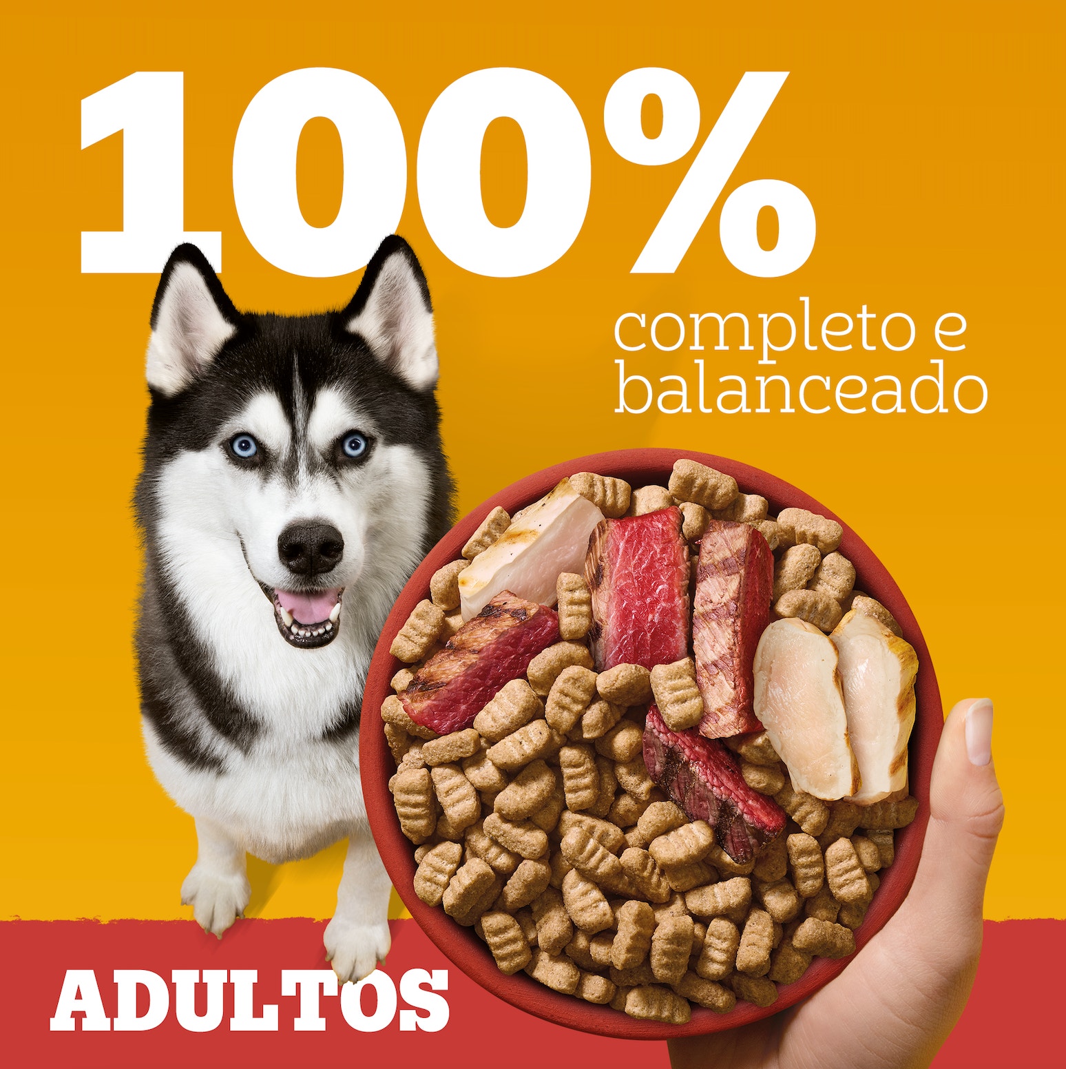 Informações sobre os benefícios da Ração High Protein ao Lado do cachorro Husky Siberiano preto e branco (“garoto Propaganda” da nova Linha PEDIGREE®)