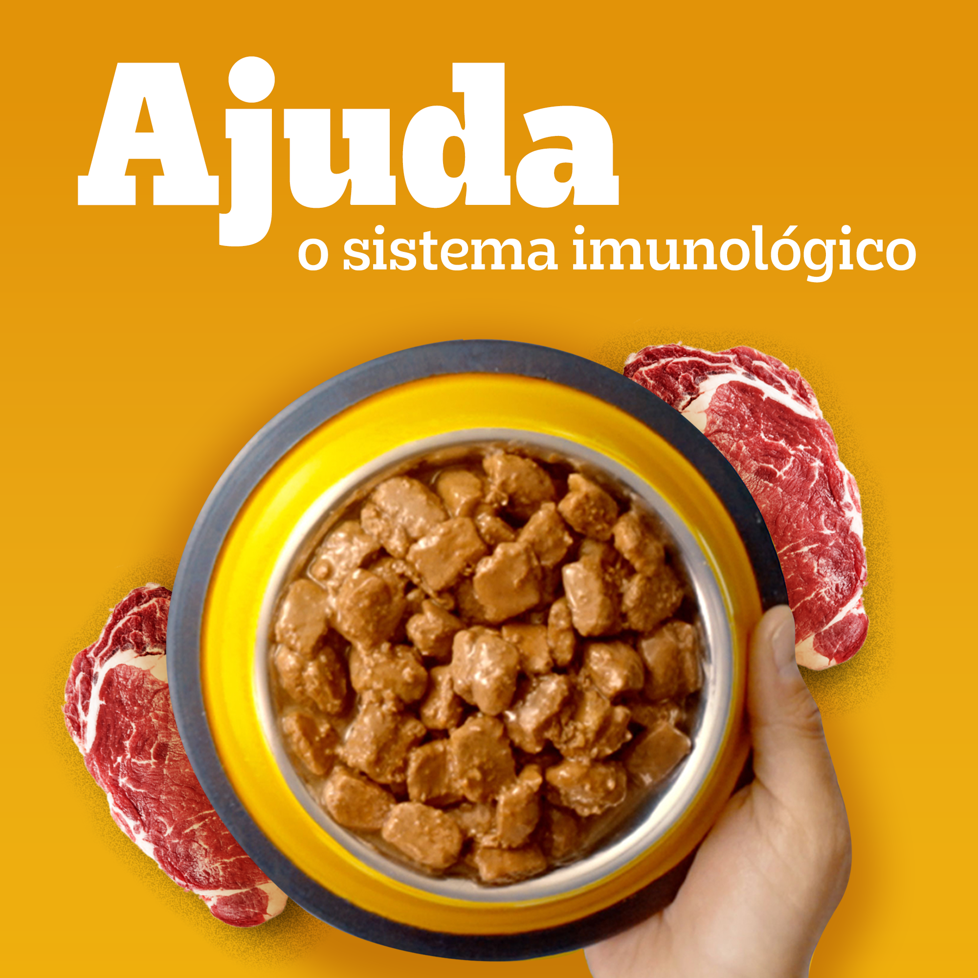 High Protein Sachê Adulto Sabor Carne E Frango Ao Molho