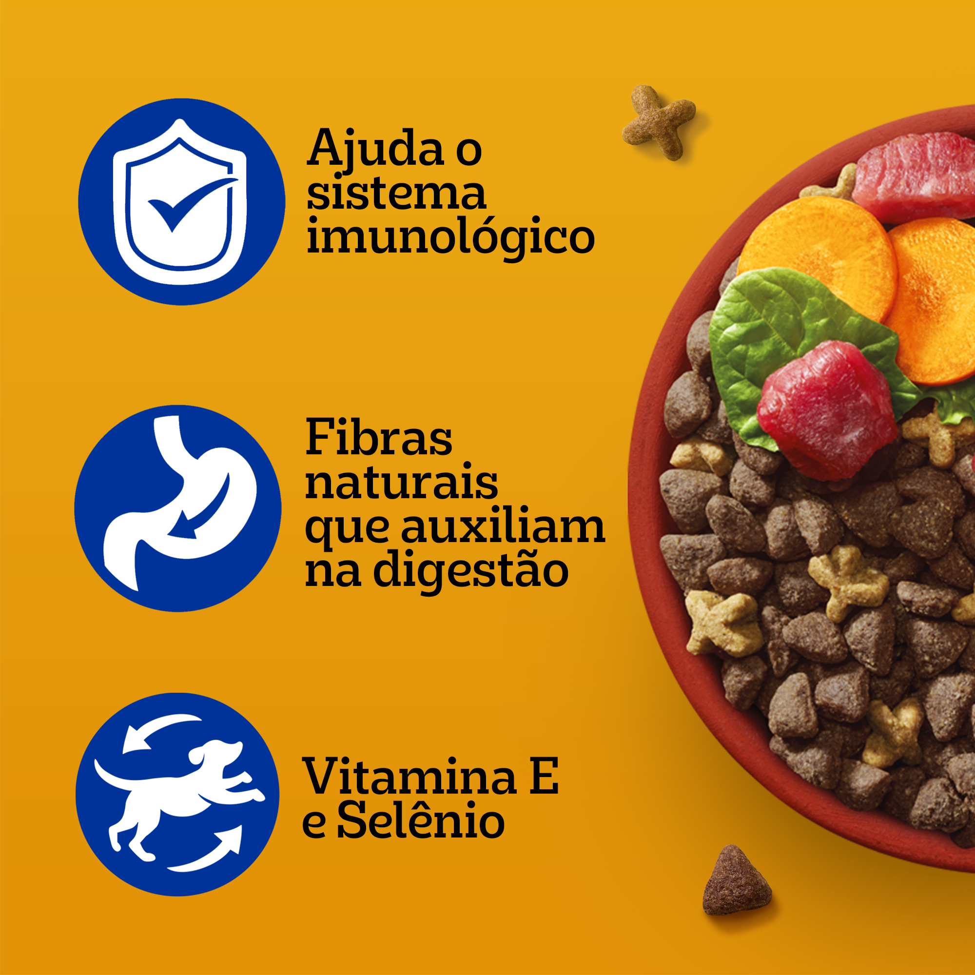 Ração Seca Adulto Raças pequenas Sabor Carne e Vegetais