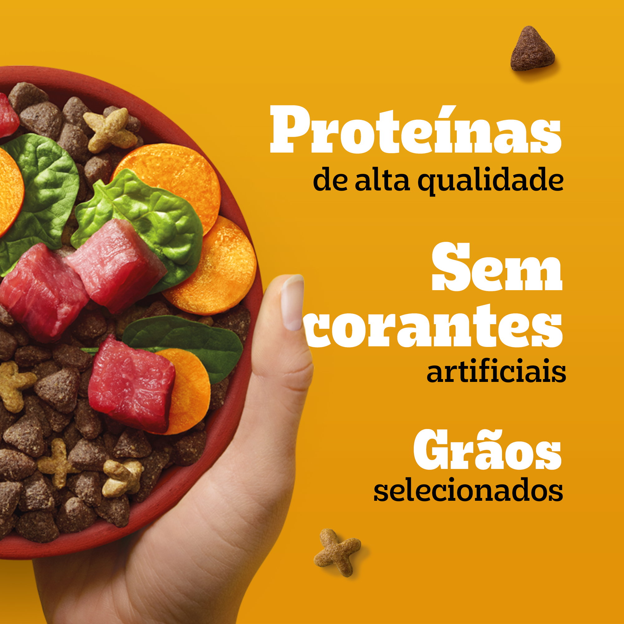 Ração Seca Adulto Raças pequenas Sabor Carne e Vegetais