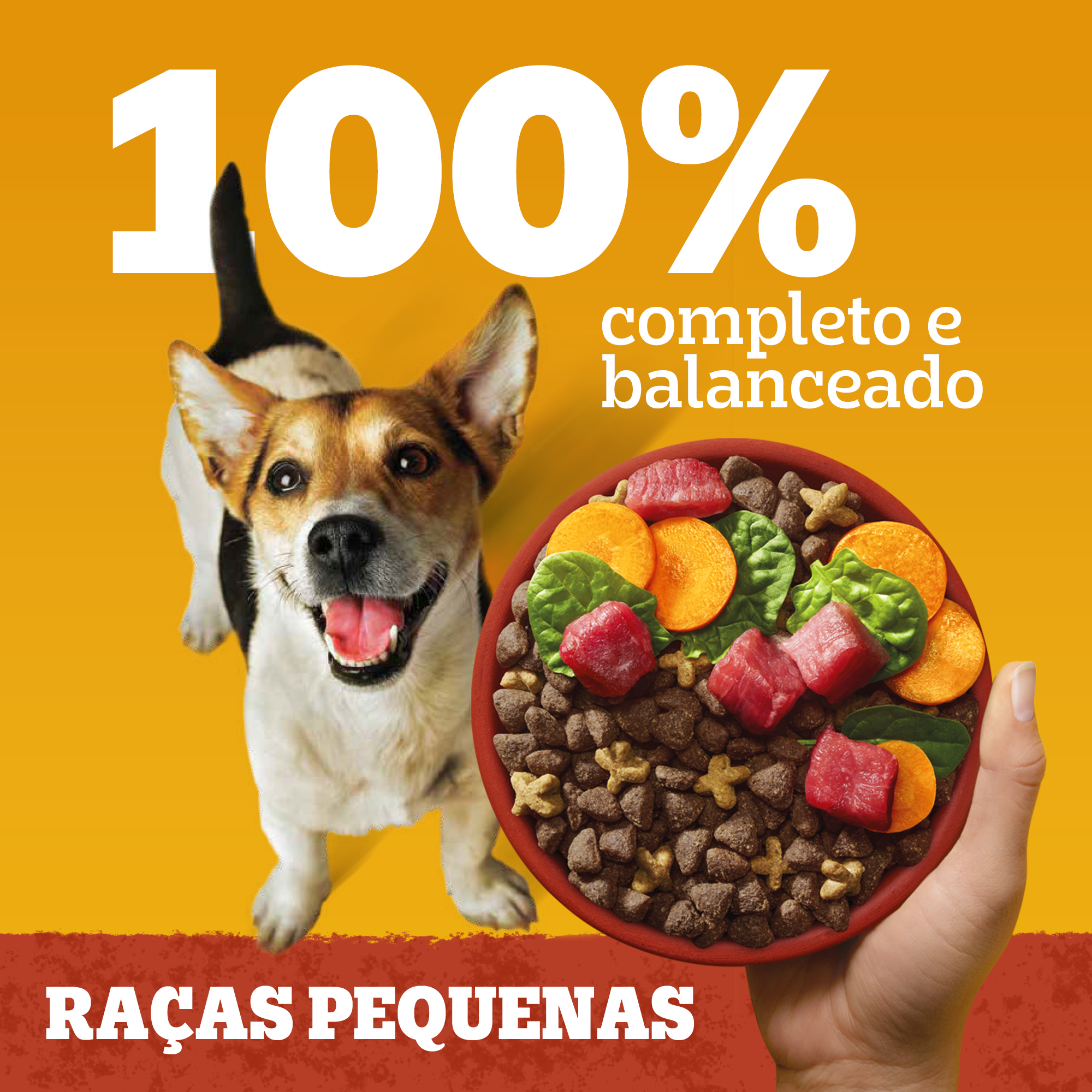 Ração Seca Adulto Raças pequenas Sabor Carne e Vegetais