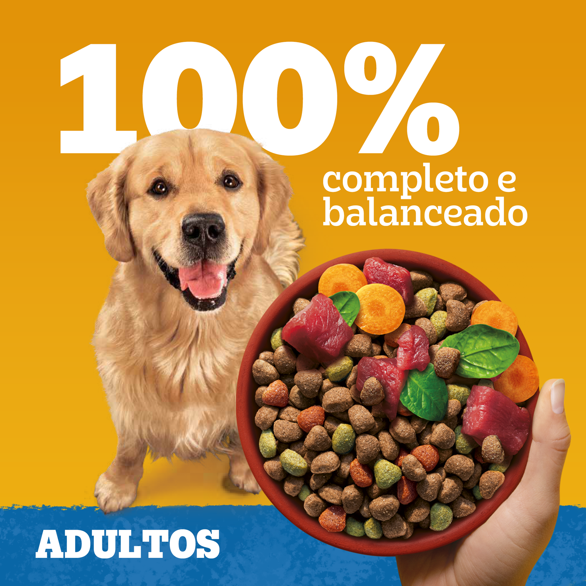Ração Seca Adulto Sabor Carne e Vegetais 10kg