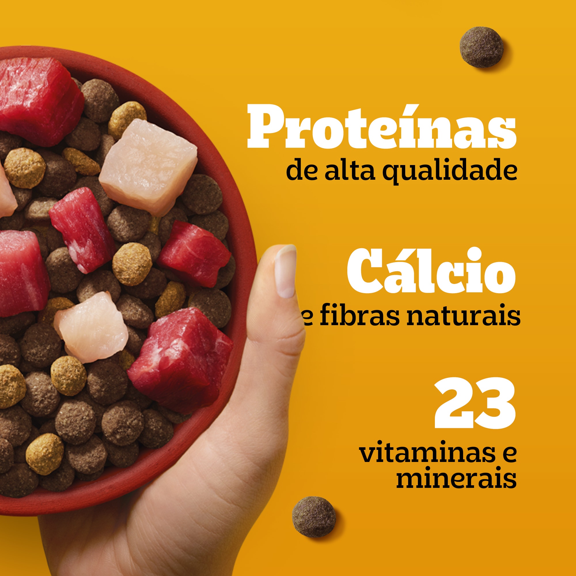 Ração Seca Filhote Sabor Carne, Frango e Cereais