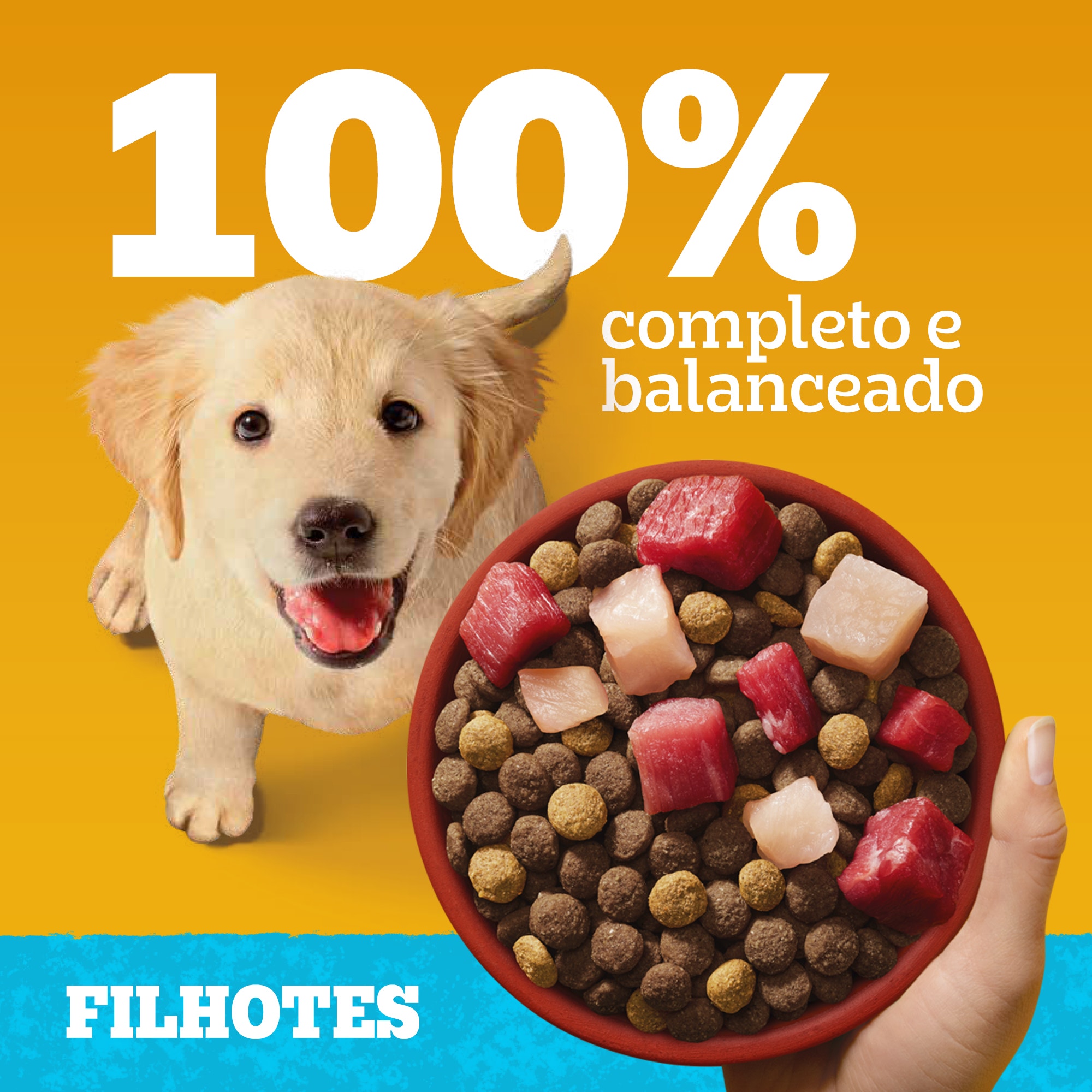 Ração Seca Filhote Sabor Carne, Frango e Cereais