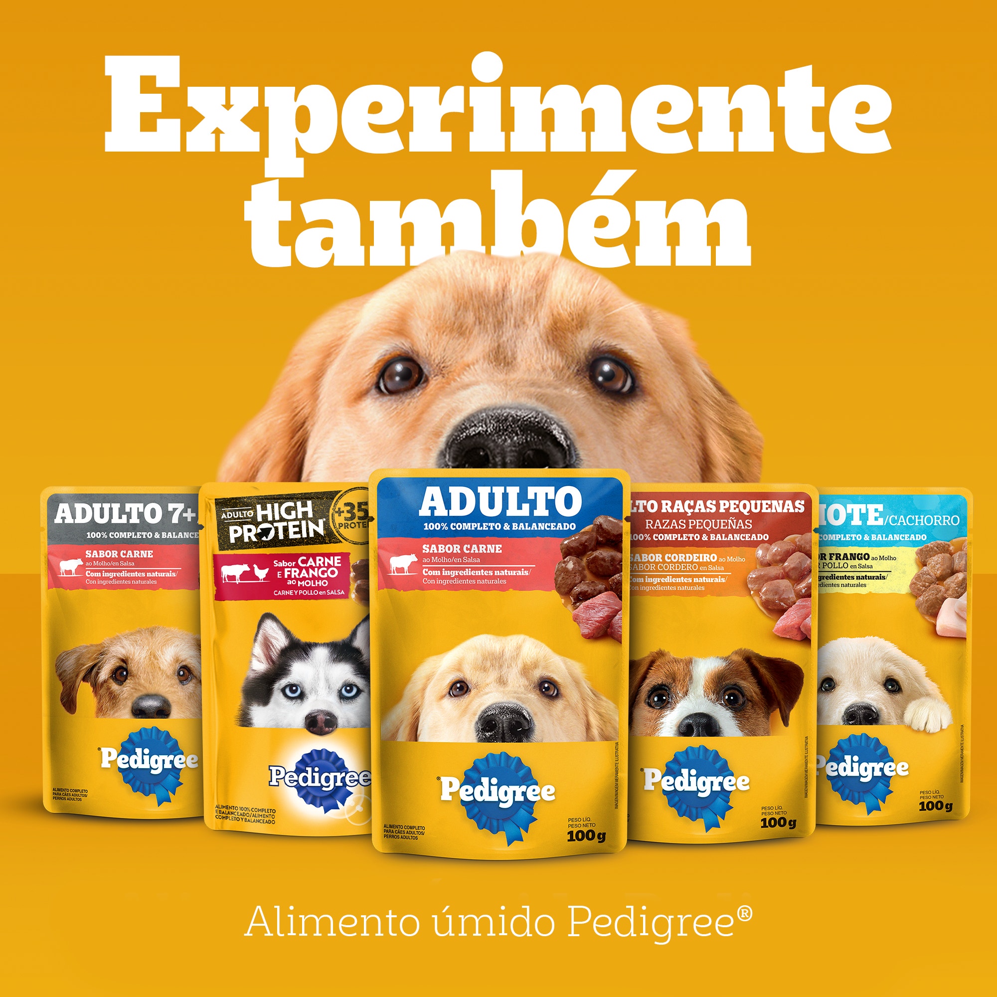 Ração Seca Filhote Sabor Carne, Frango e Cereais