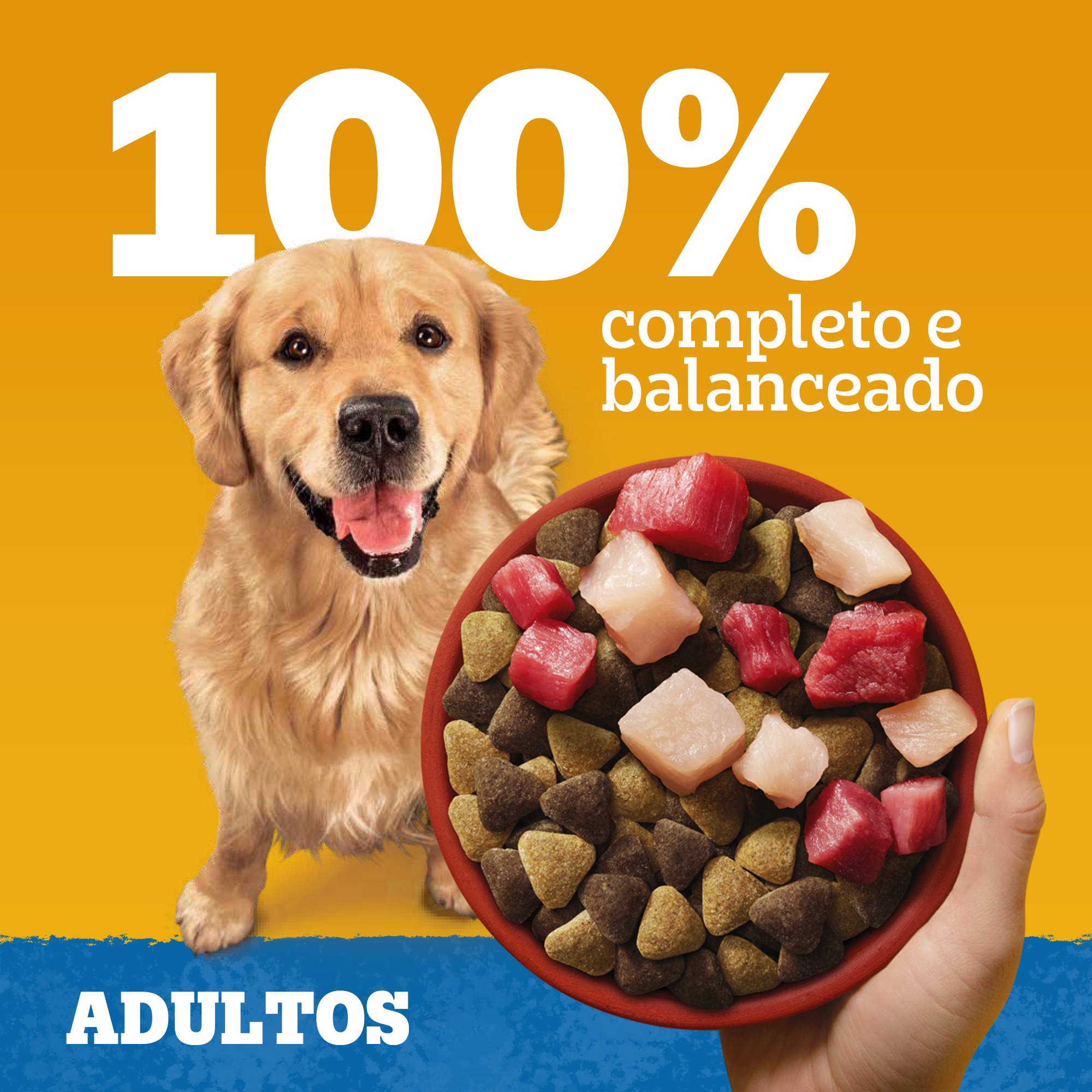 PEDIGREE® Ração seca adulto sabor carne, frango e cereais