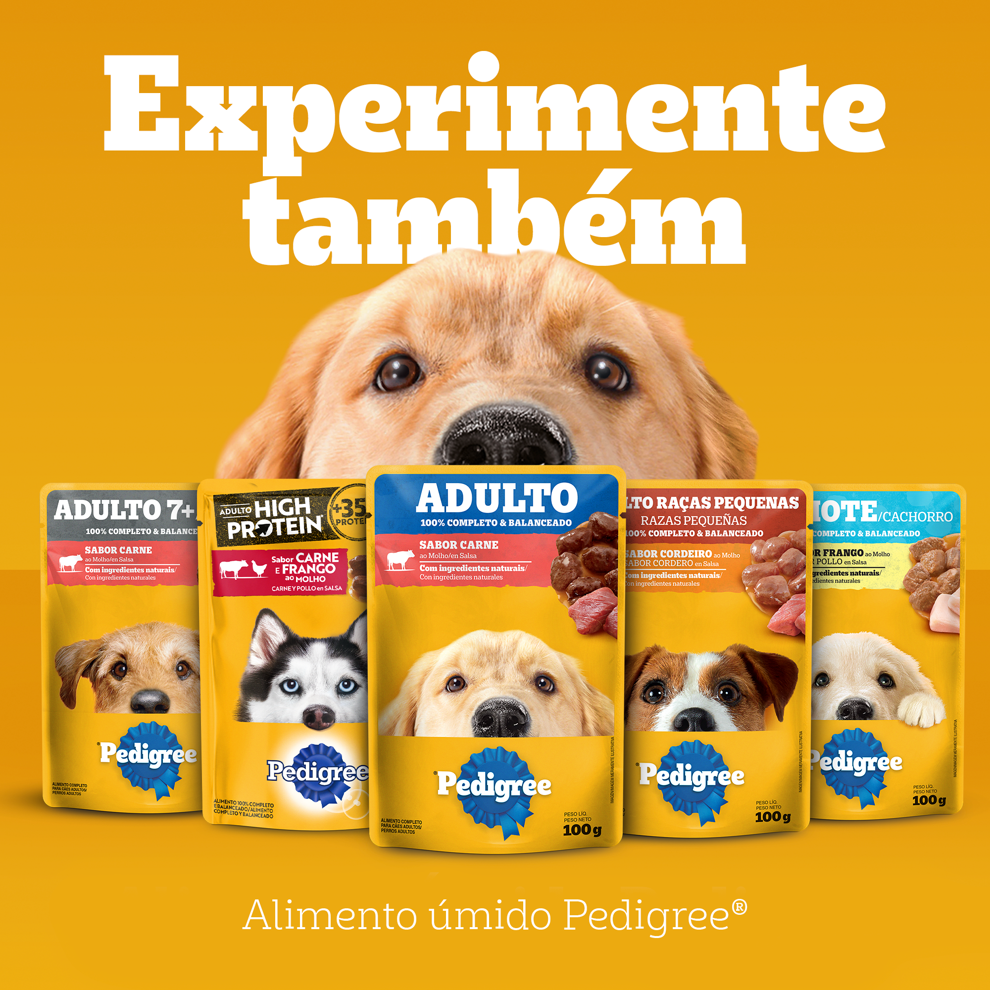 PEDIGREE® Ração seca adulto sabor carne, frango e cereais