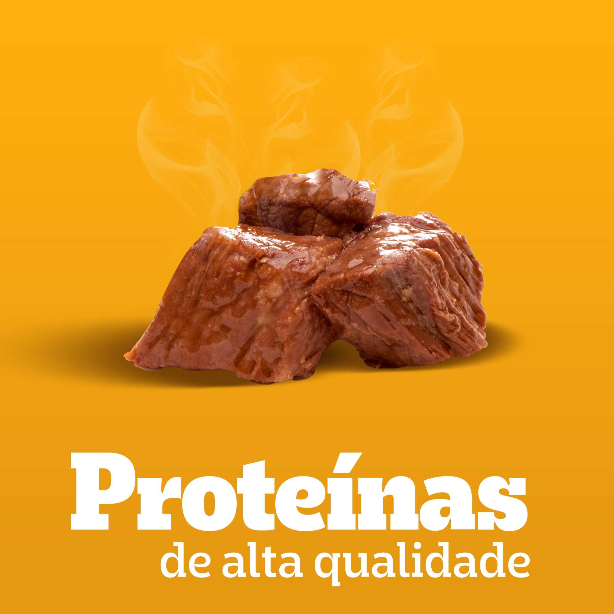 Sachê Sênior Sabor Carne Ao Molho