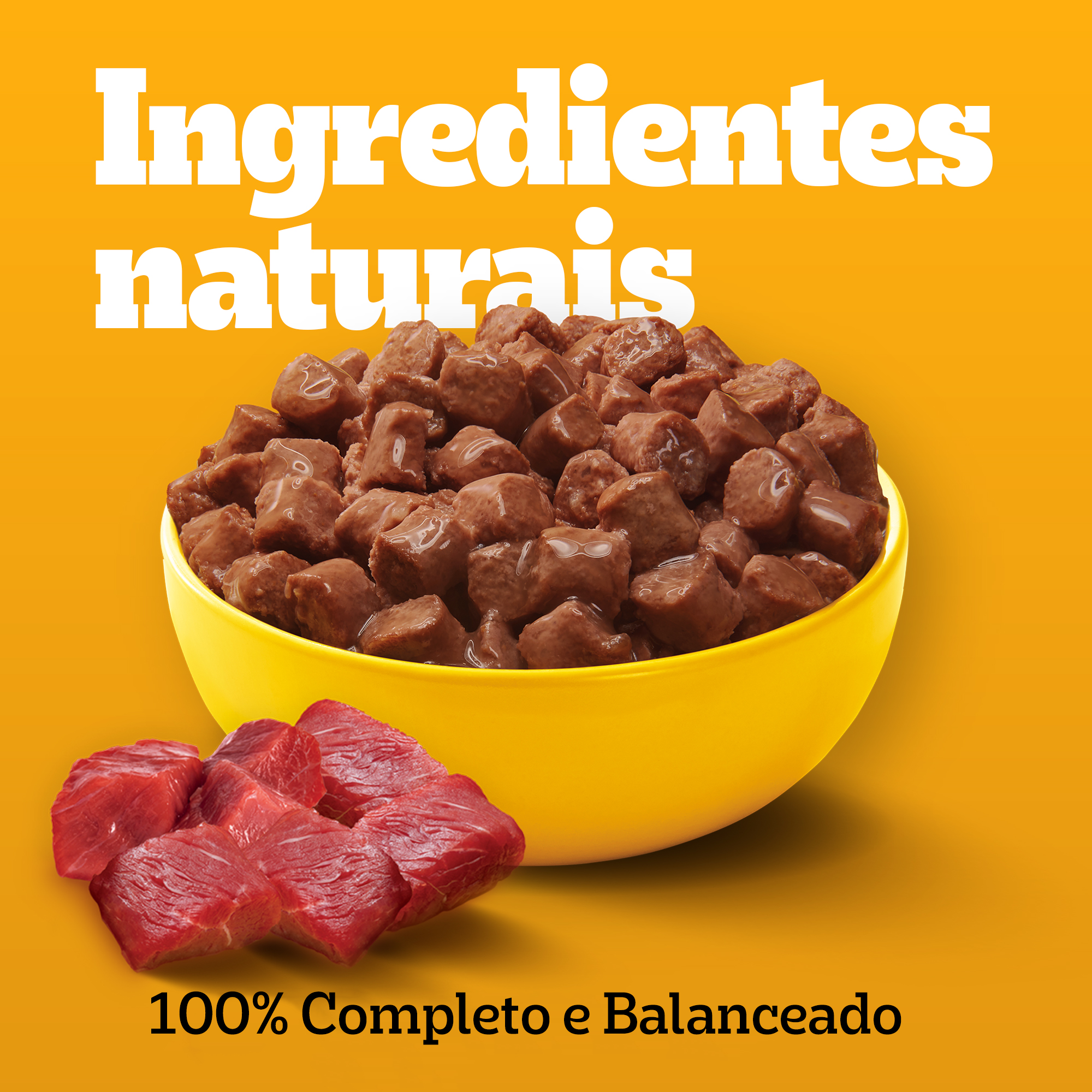 Sachê Filhote Sabor Carne Ao Molho