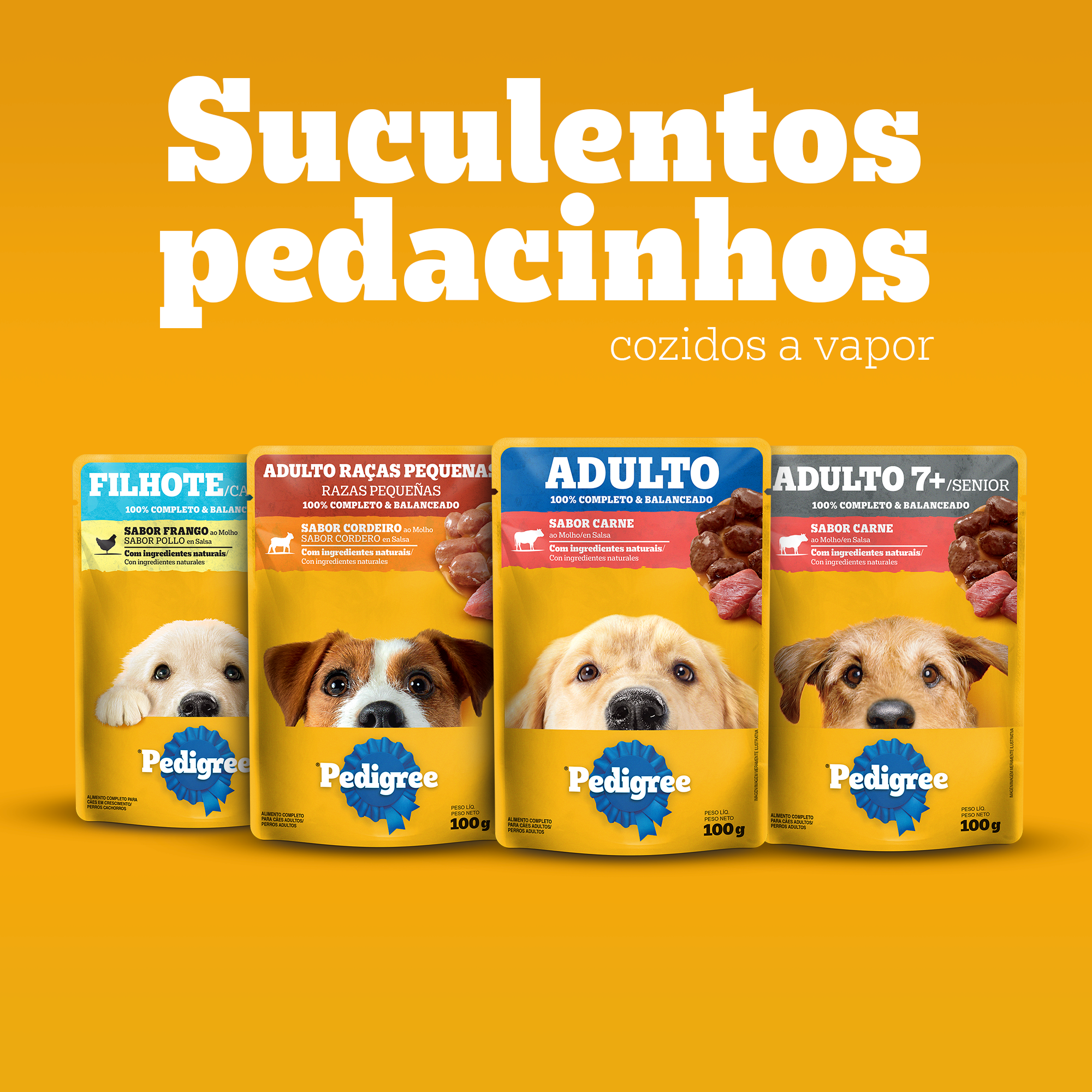 Sachê Filhote Sabor Carne Ao Molho