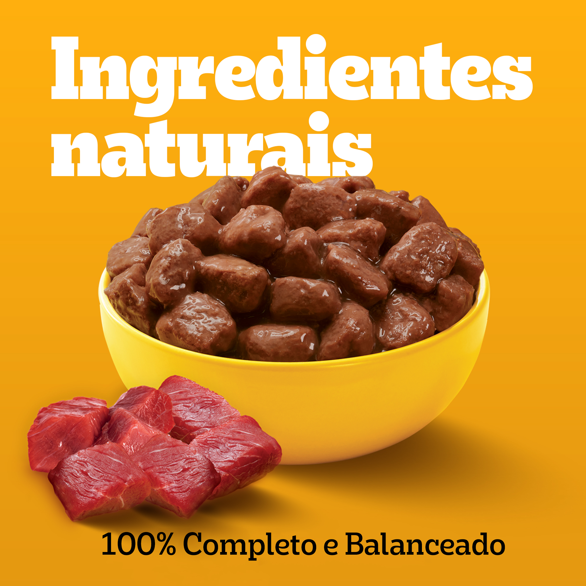 Sachê Adulto Raças pequenas Sabor Carne Ao Molho