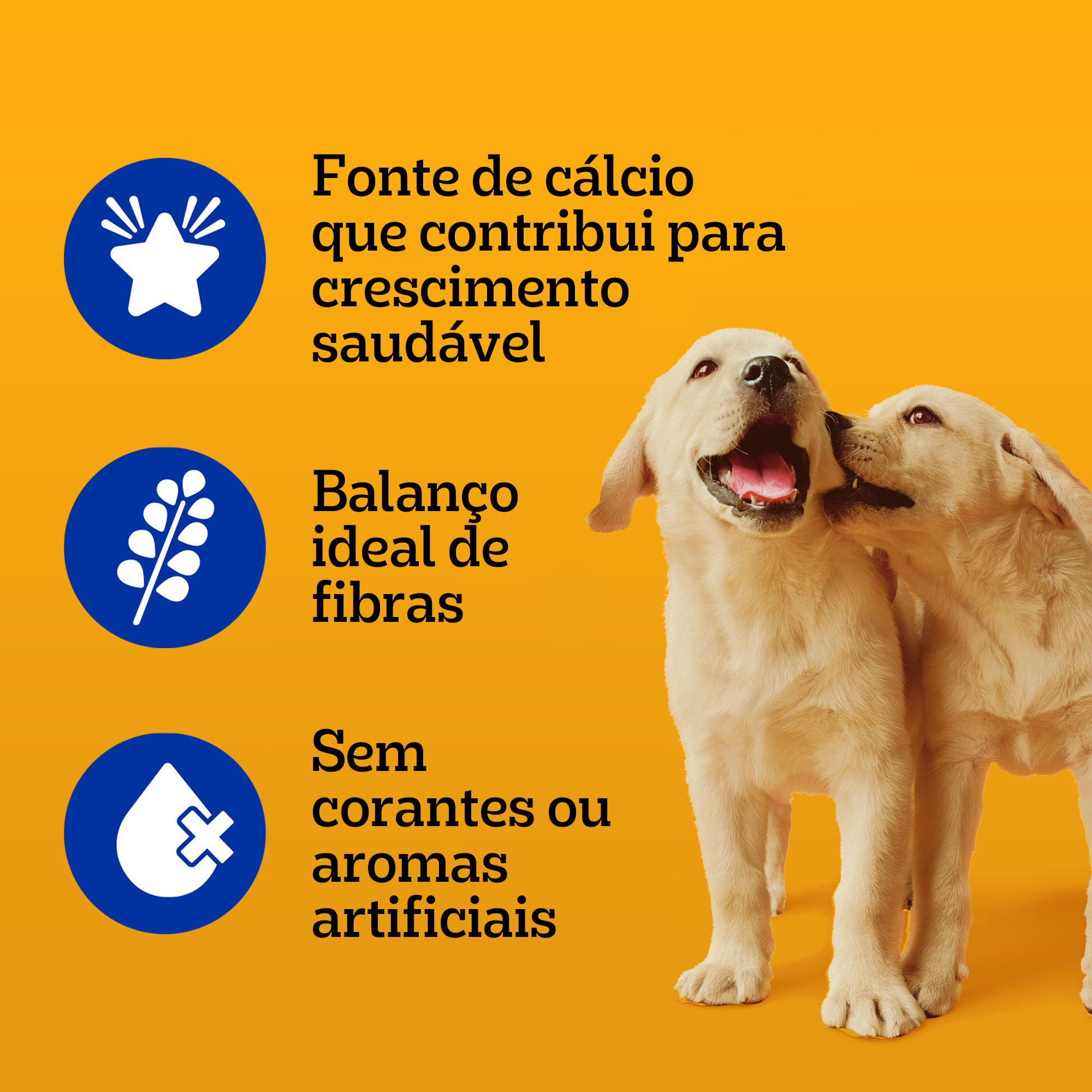 Sachê Filhote Sabor Frango Ao Molho