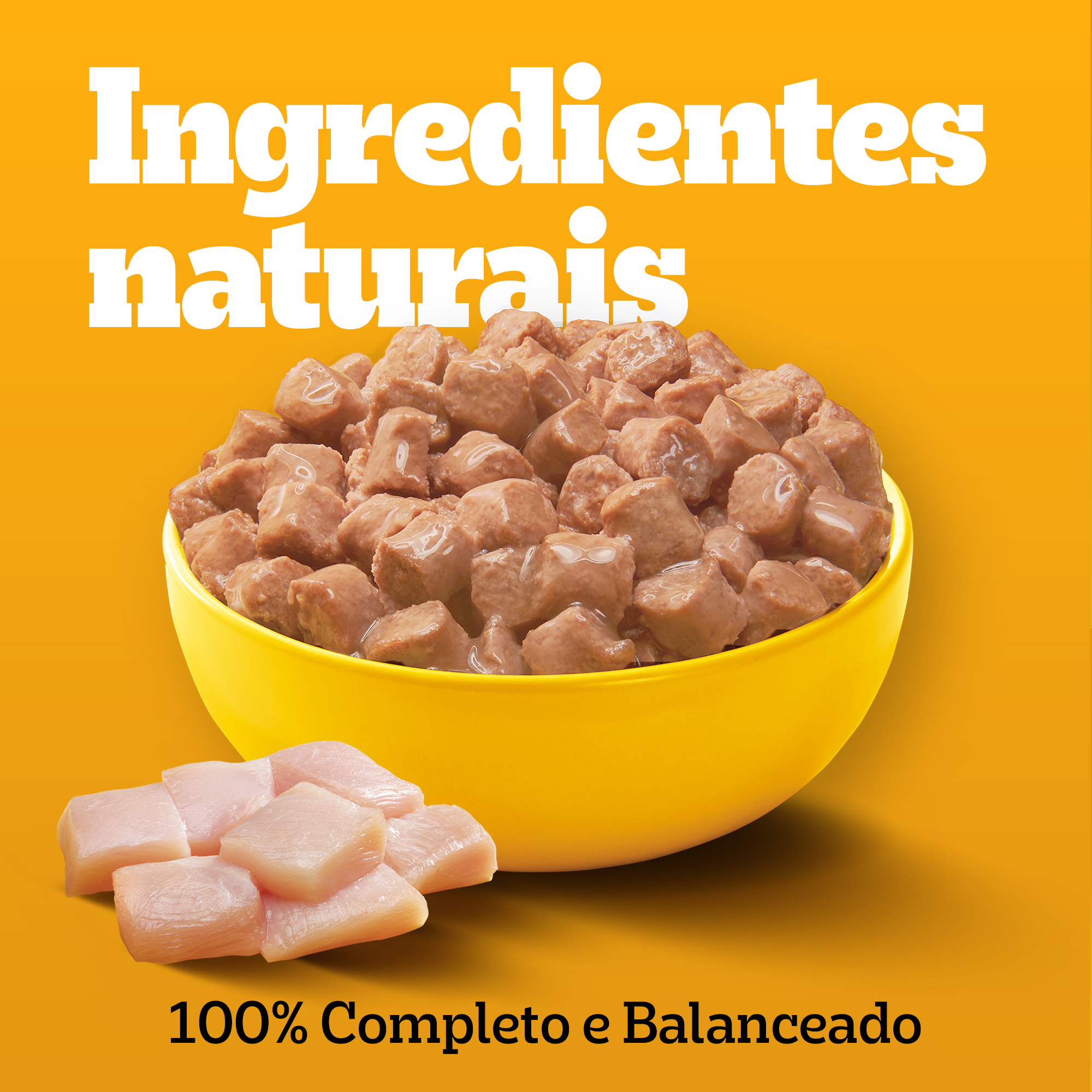 Sachê Filhote Sabor Frango Ao Molho