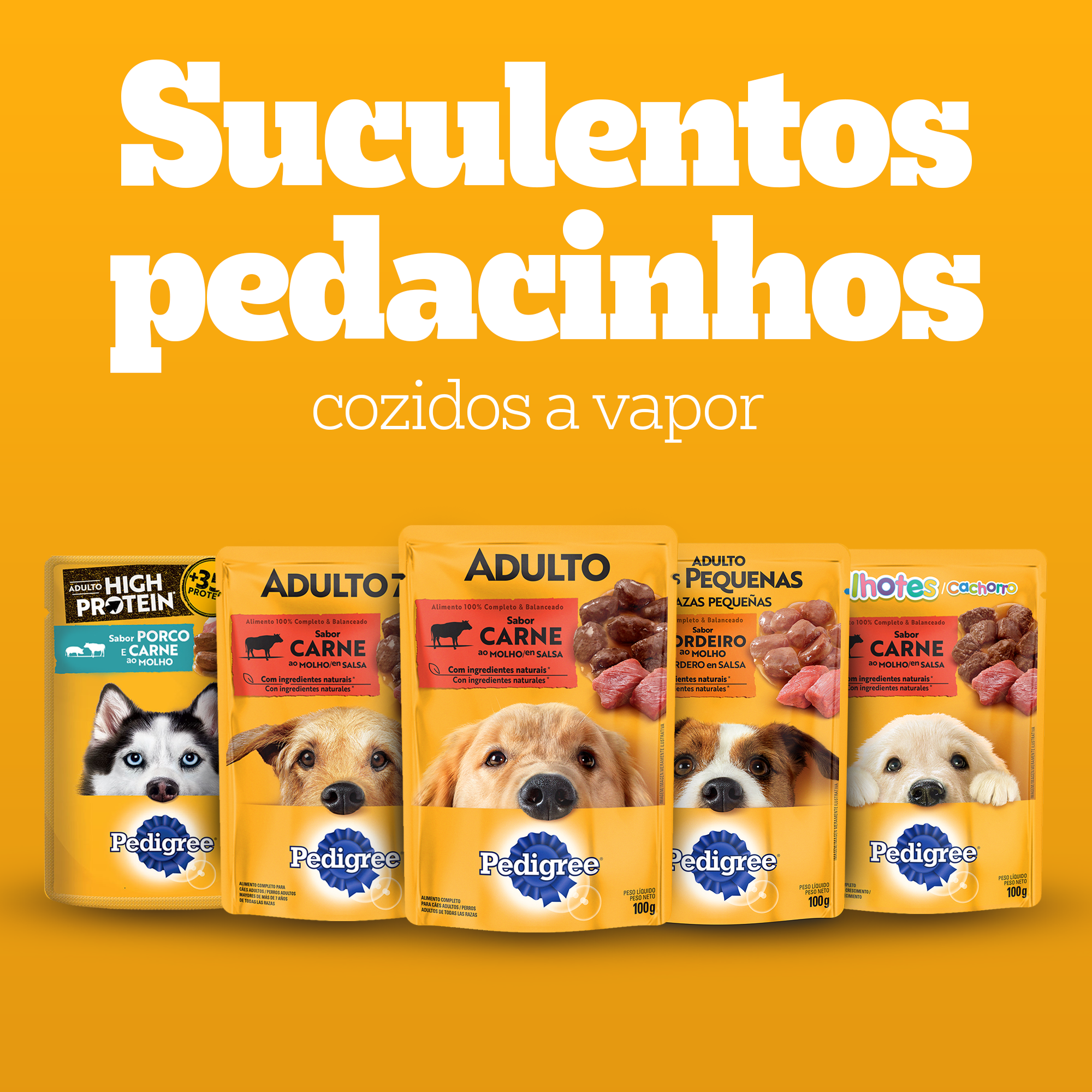 Sachê Filhote Sabor Frango Ao Molho