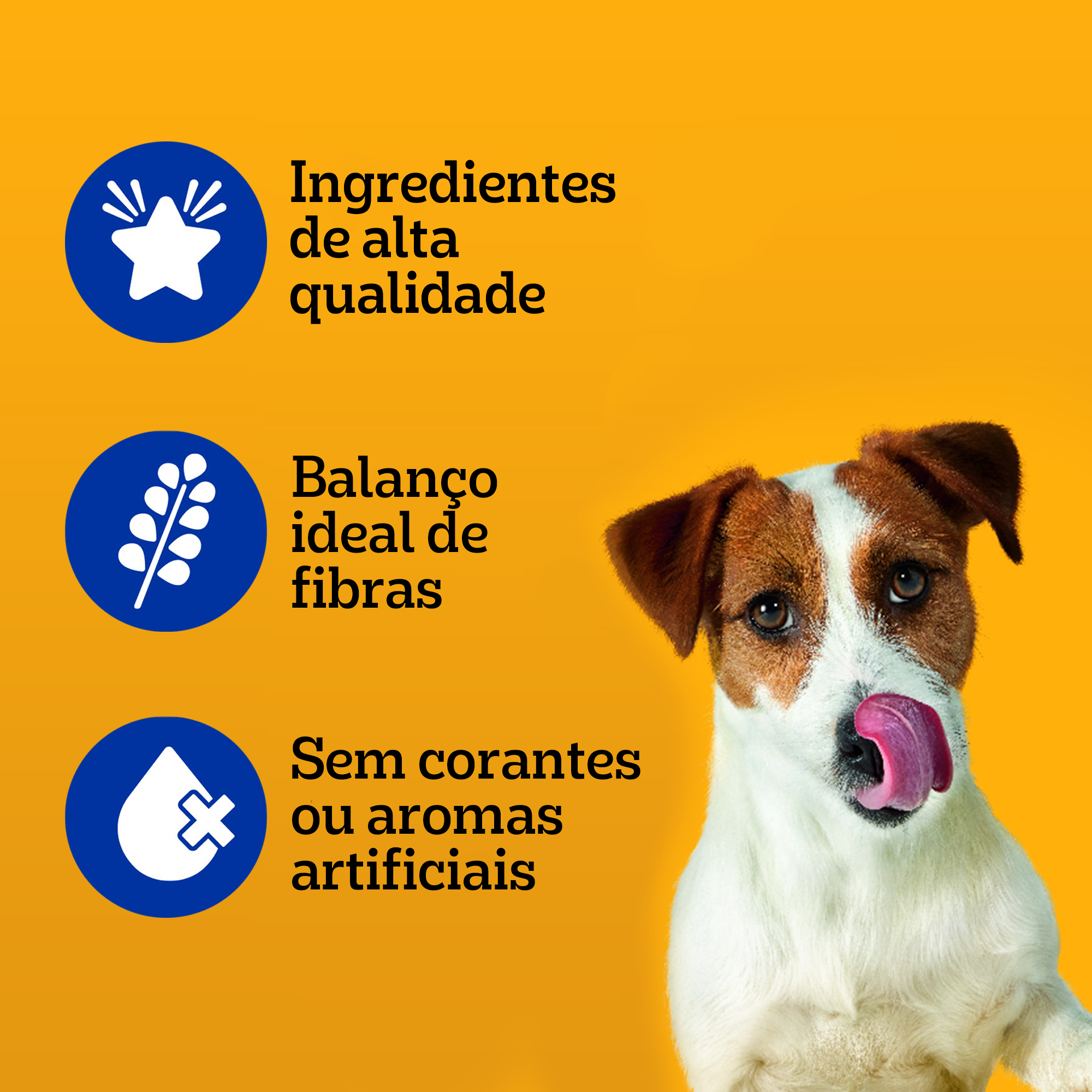 Sachê Adulto Raças pequenas Sabor Cordeiro Ao Molho