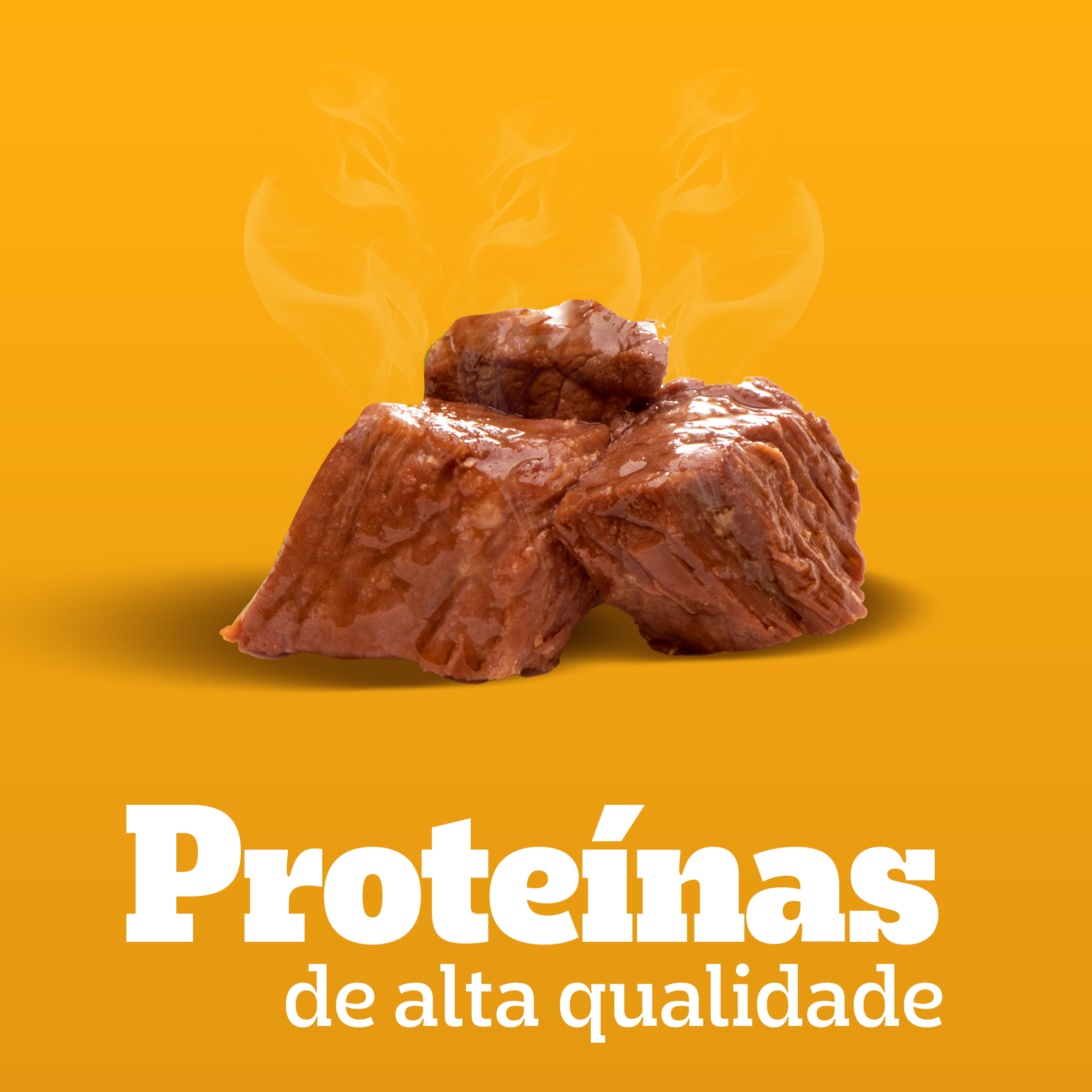 Sachê Adulto Raças pequenas Sabor Cordeiro Ao Molho