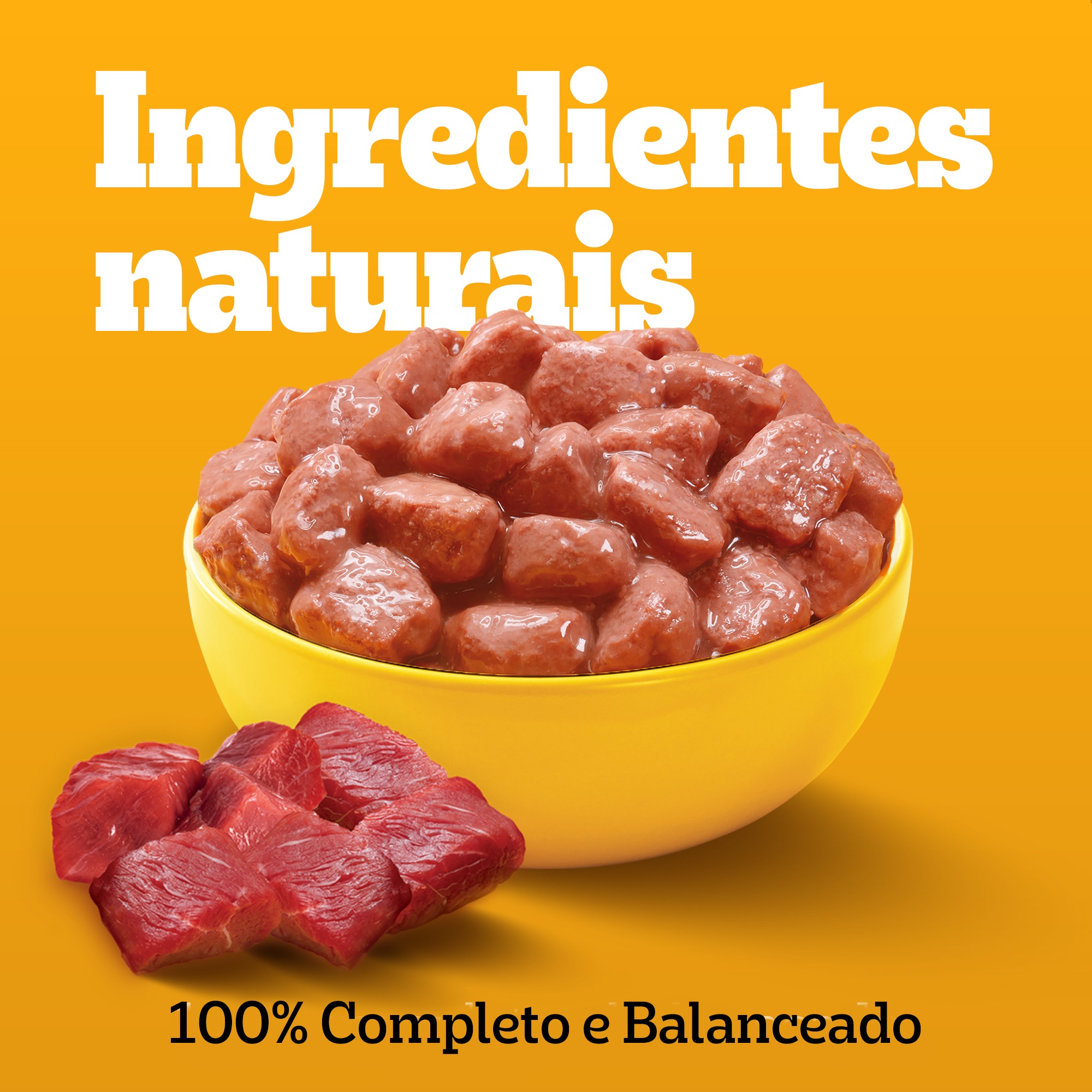 Sachê Adulto Raças pequenas Sabor Cordeiro Ao Molho