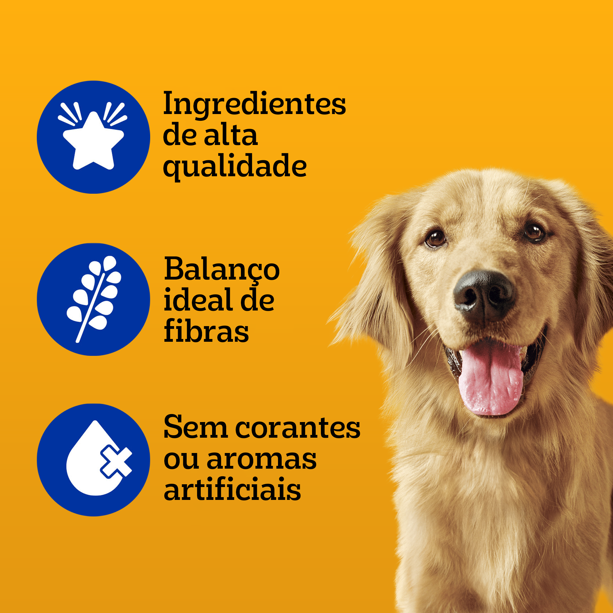 Lata Adulto Sabor Carne Ao Molho