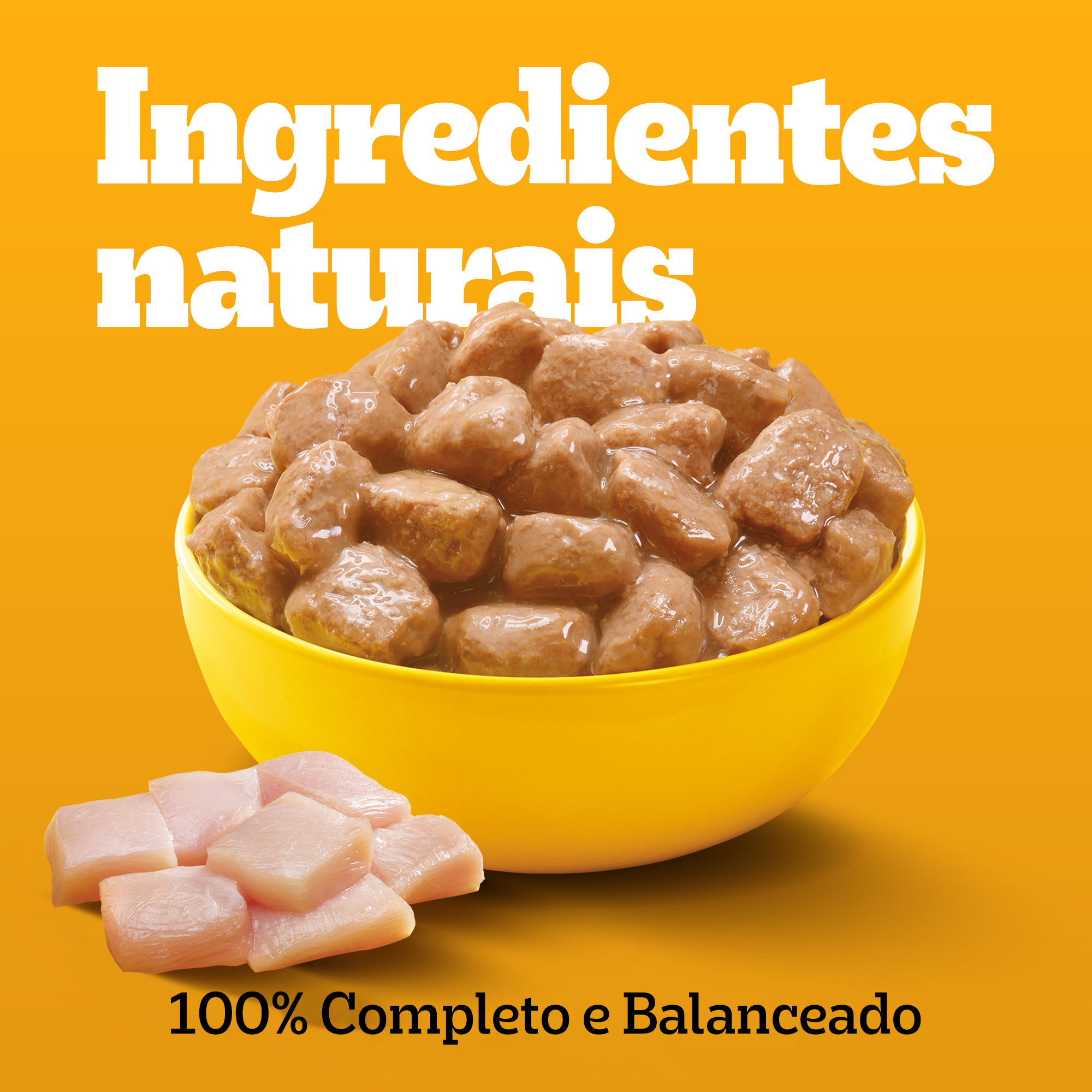 Lata Adulto Sabor Carne Ao Molho
