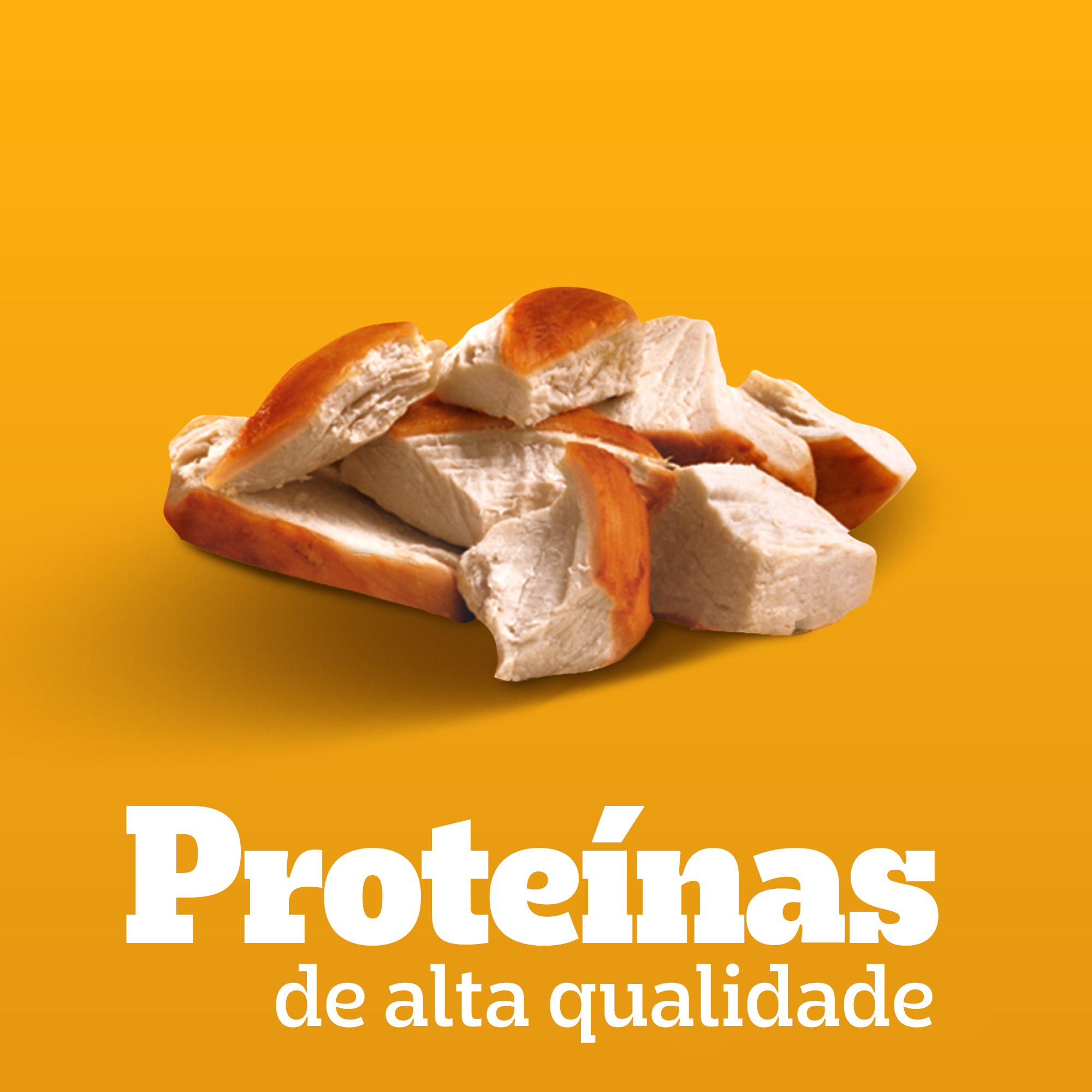 Lata Adulto Sabor Carne Ao Molho