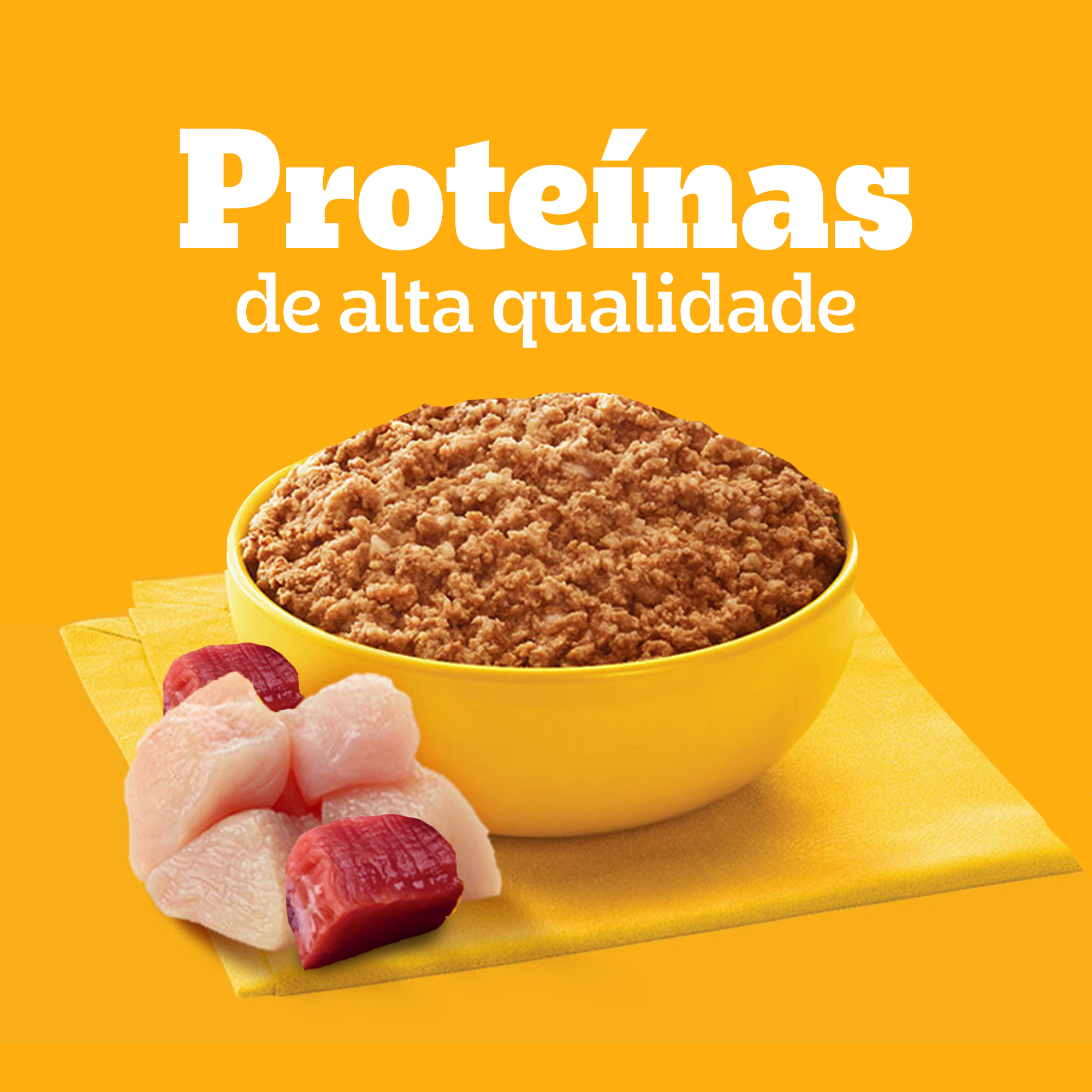 Lata Filhote Sabor Carne E Frango Patê