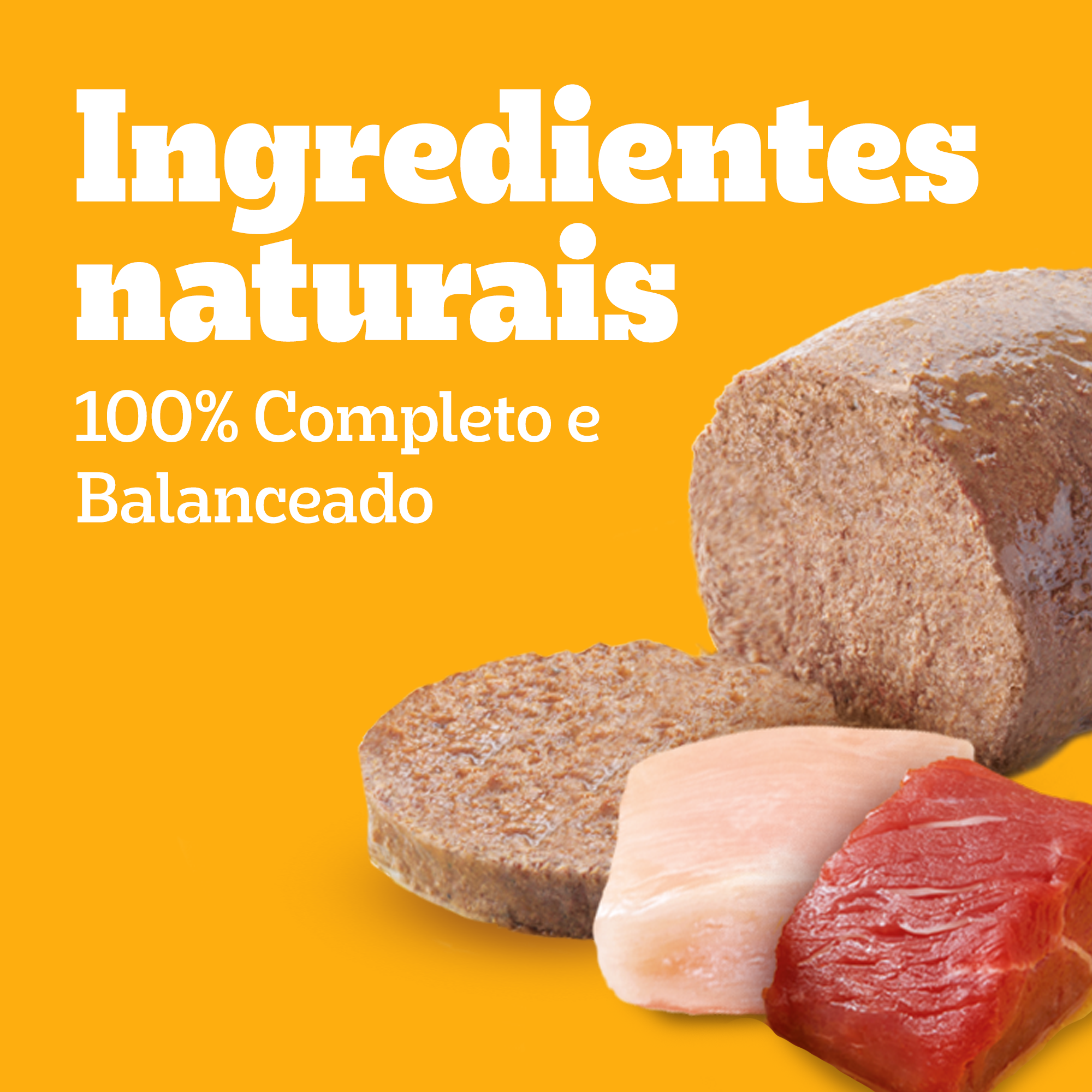 Lata Filhote Sabor Carne E Frango Patê