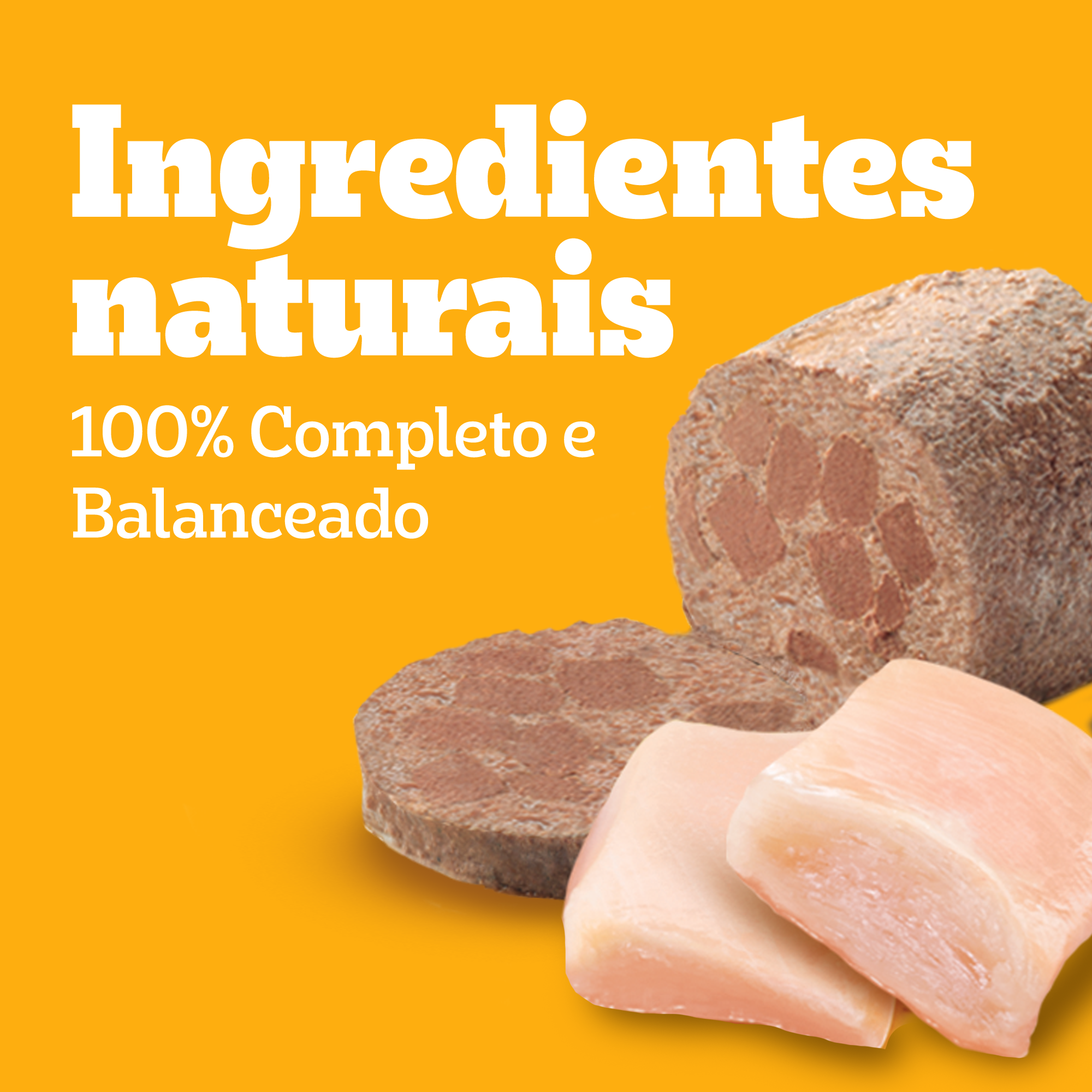 Lata Adulto Sabor Frango Patê