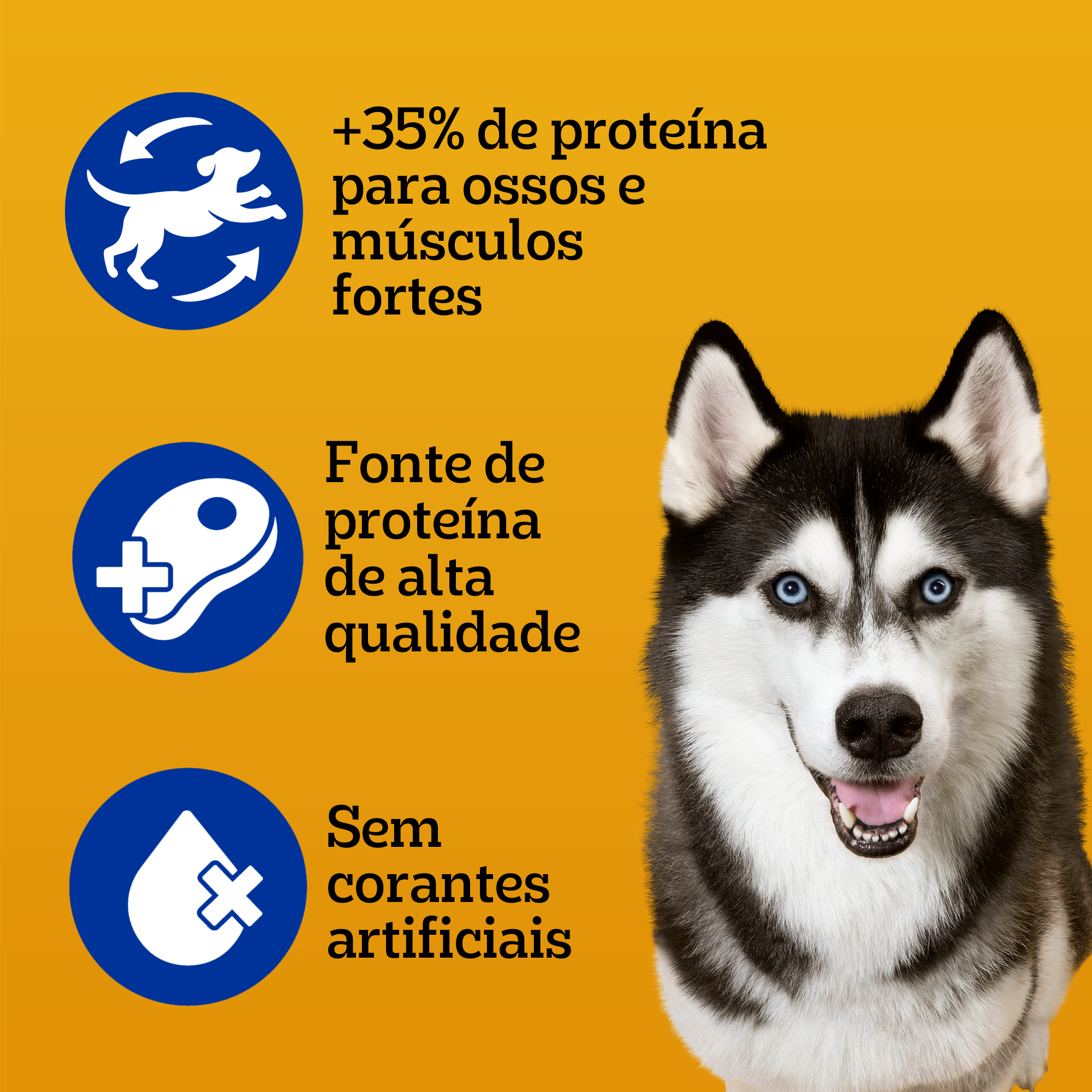 pedigree high protein
