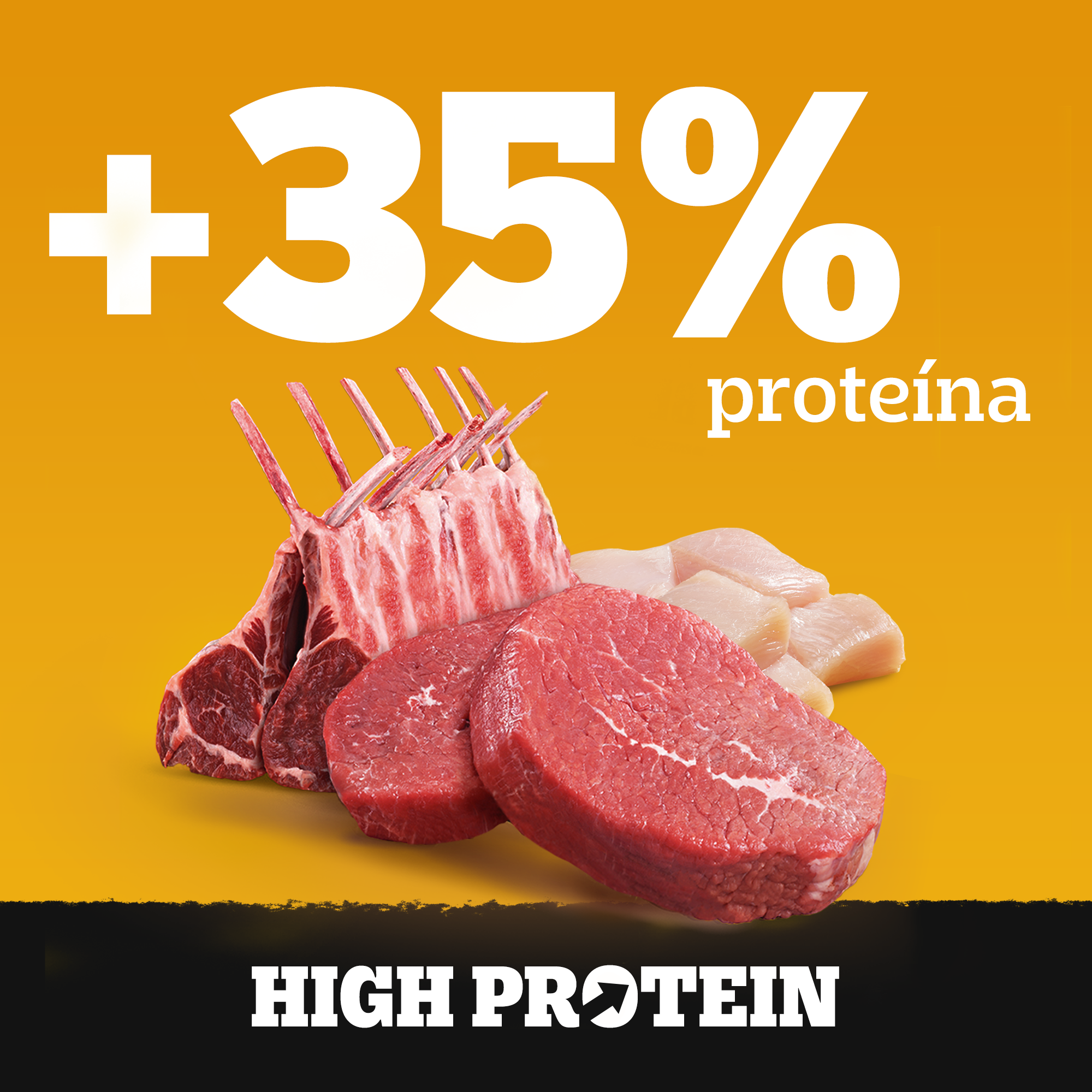 pedigree high protein