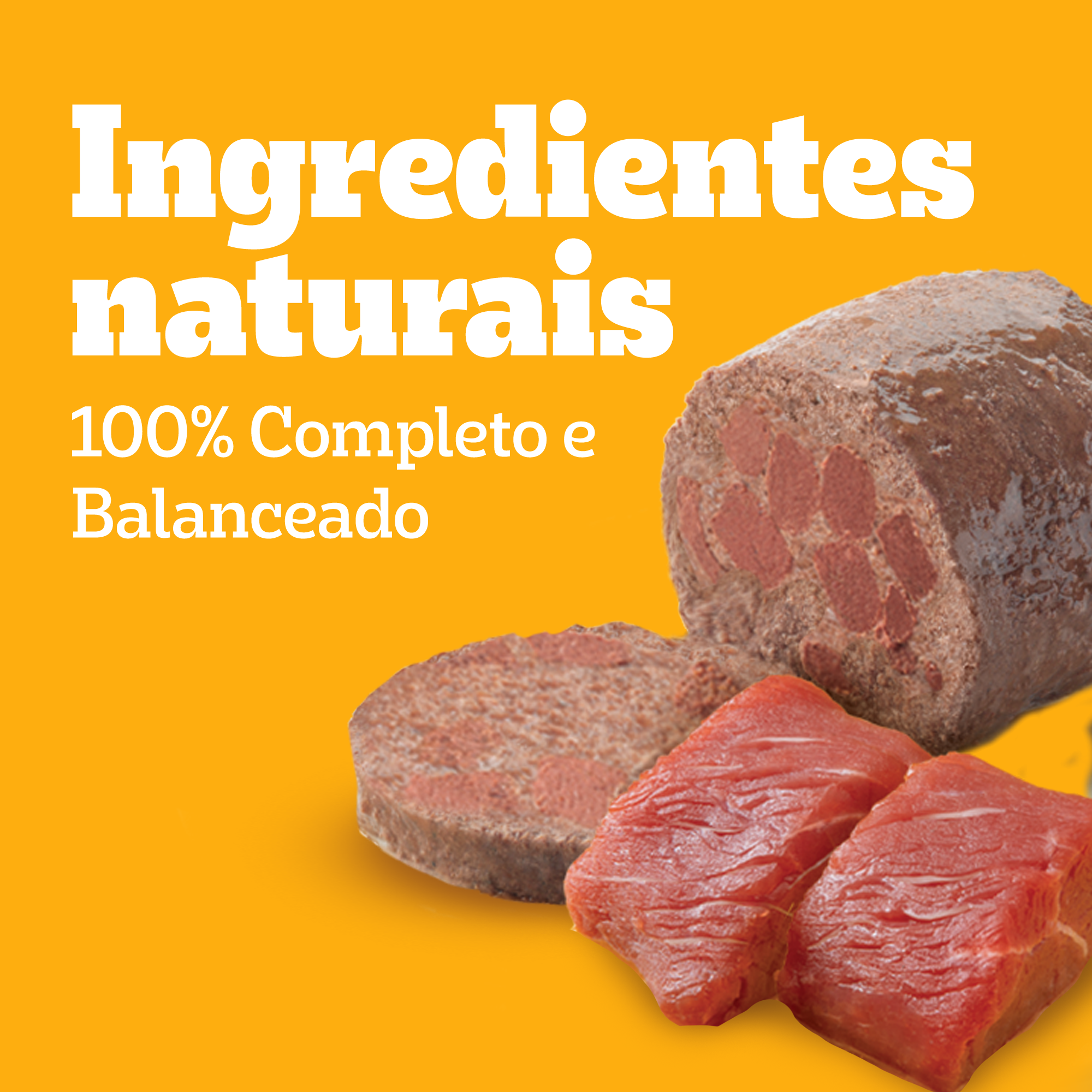 Lata Adulto Sabor Carne Patê