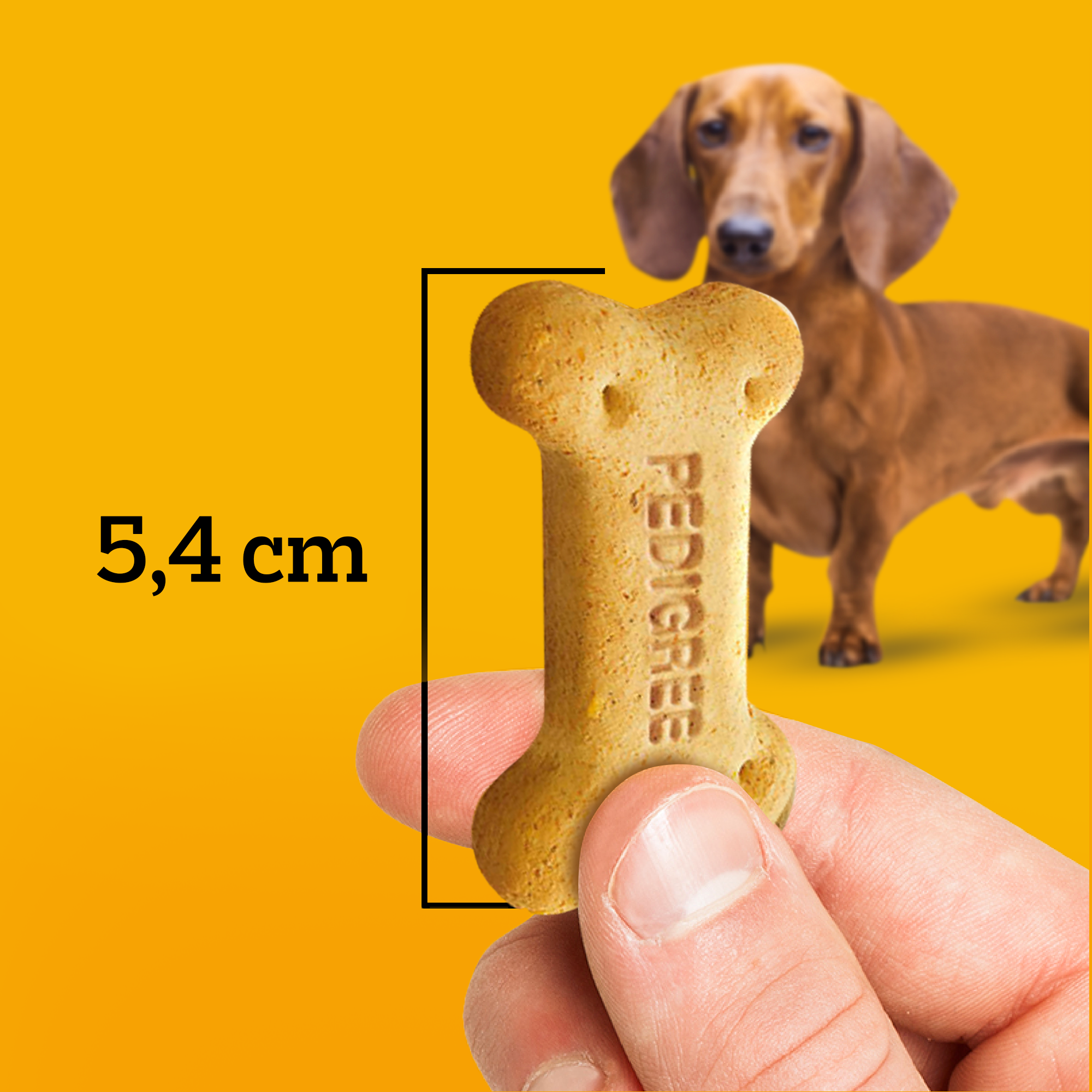 PEDIGREE® Biscrok adulto multi sabor