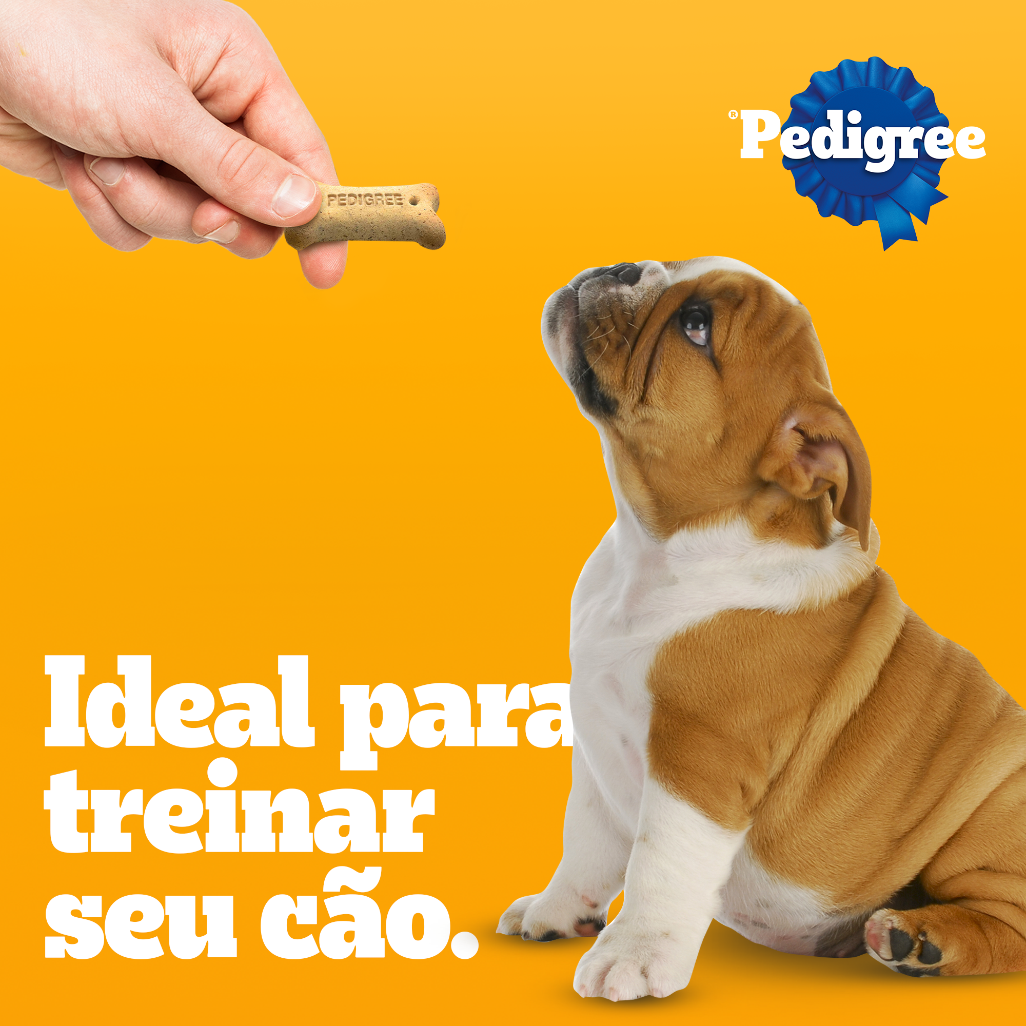 PEDIGREE® Biscrok Filhote
