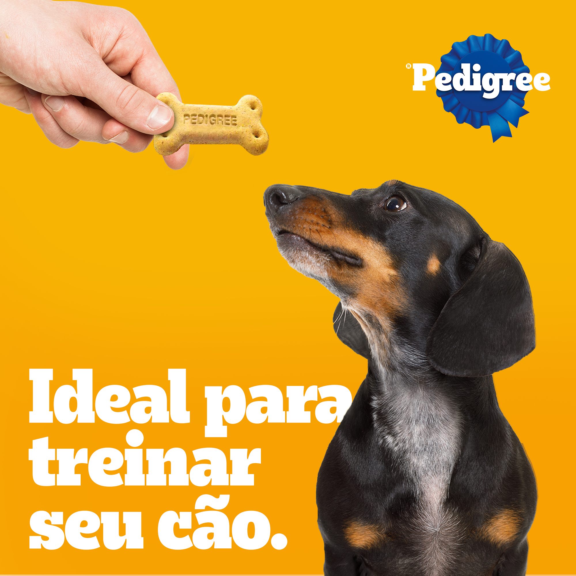 PEDIGREE® Biscrok adulto raças pequenas