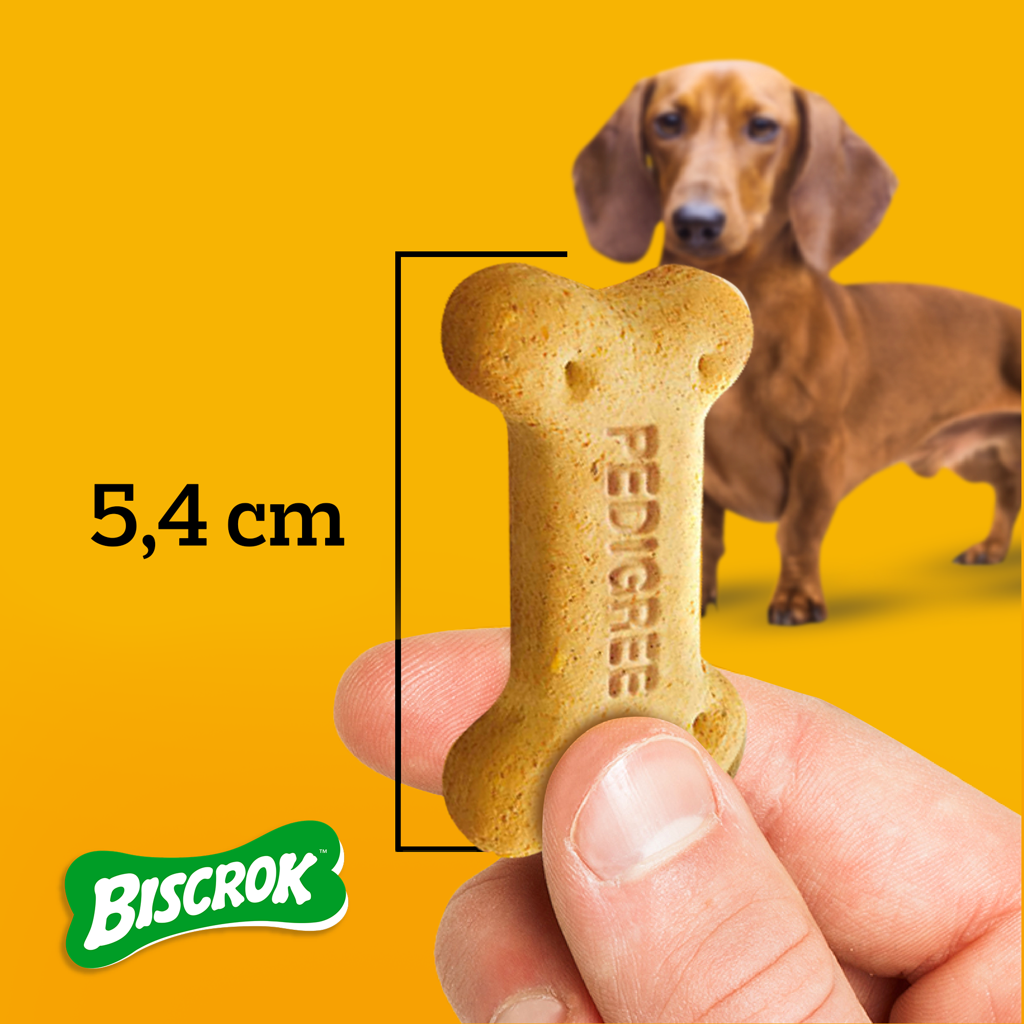 PEDIGREE® Biscrok adulto raças pequenas