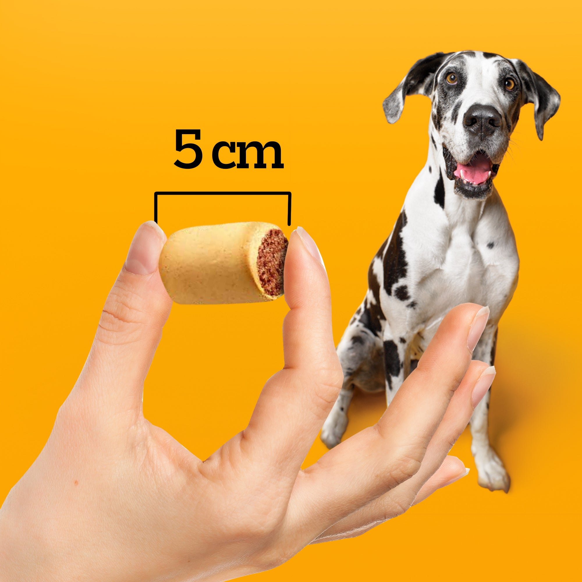 PEDIGREE® Marrobone adulto sabor carne