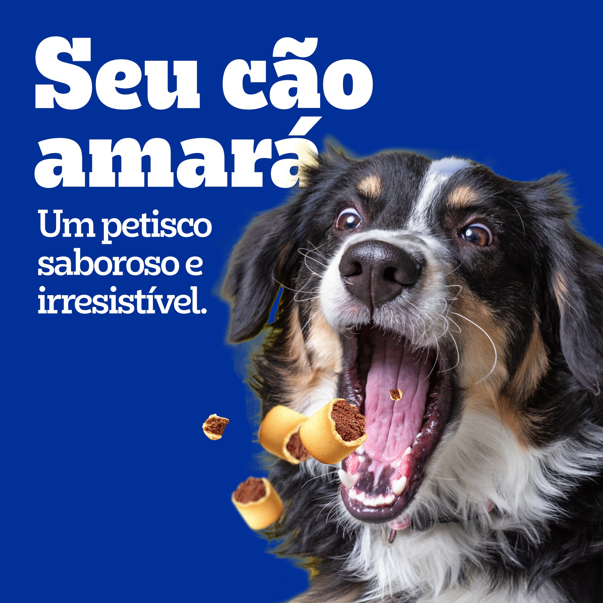 PEDIGREE® Marrobone adulto sabor carne