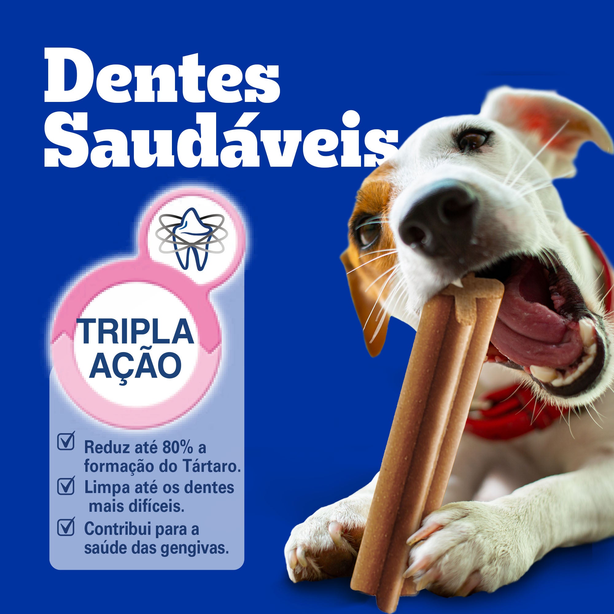 Dentastix Adulto Raças Médias