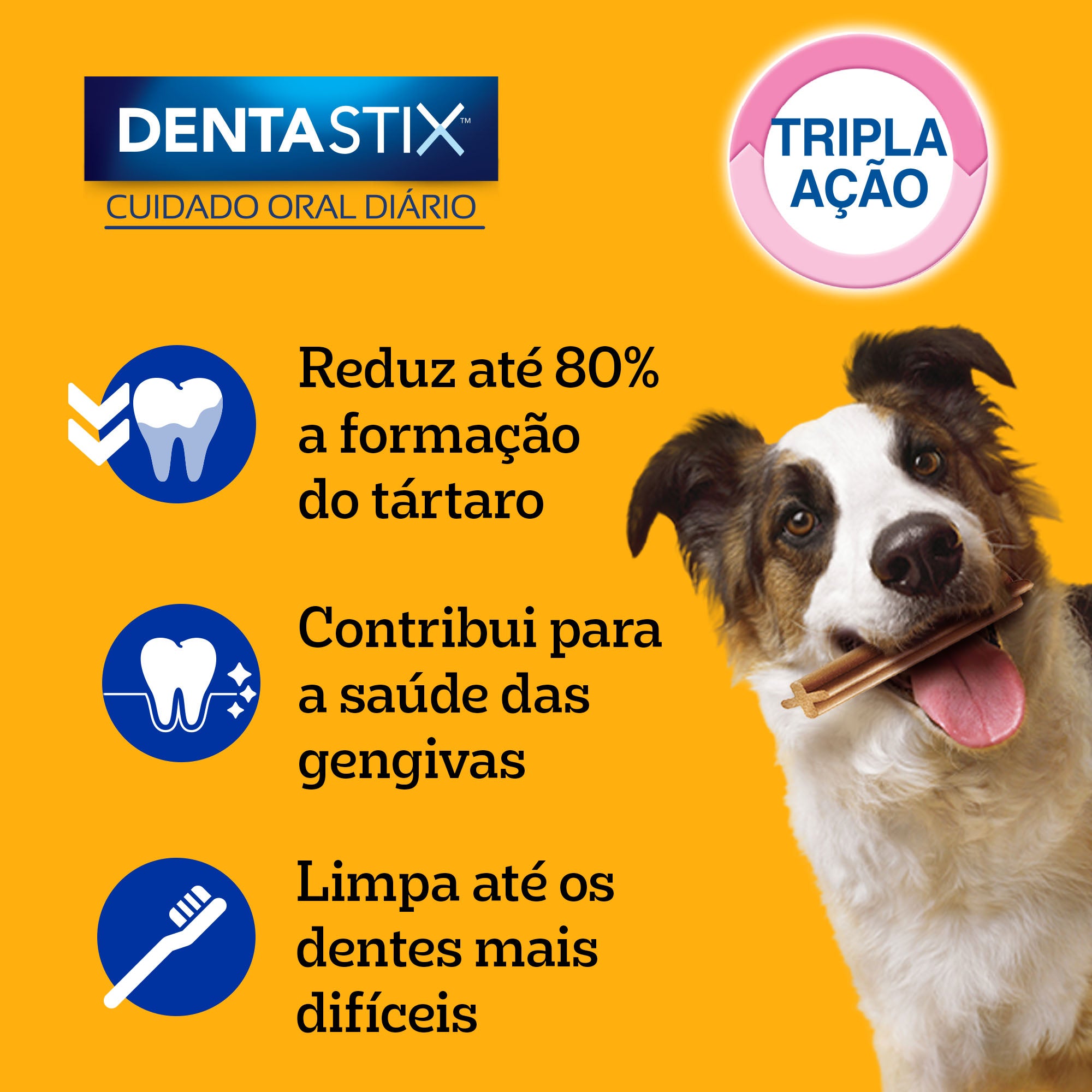 Dentastix Adulto Raças Médias
